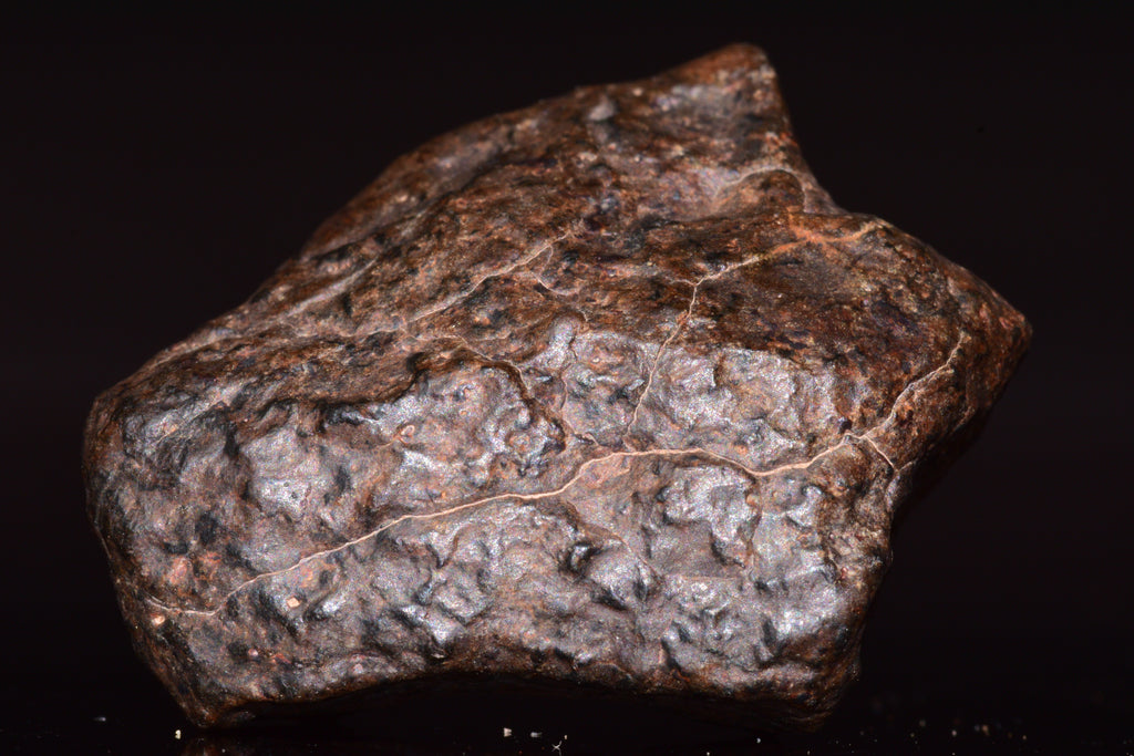 NWA 13272 Ungrouped Achondrite Meteorite