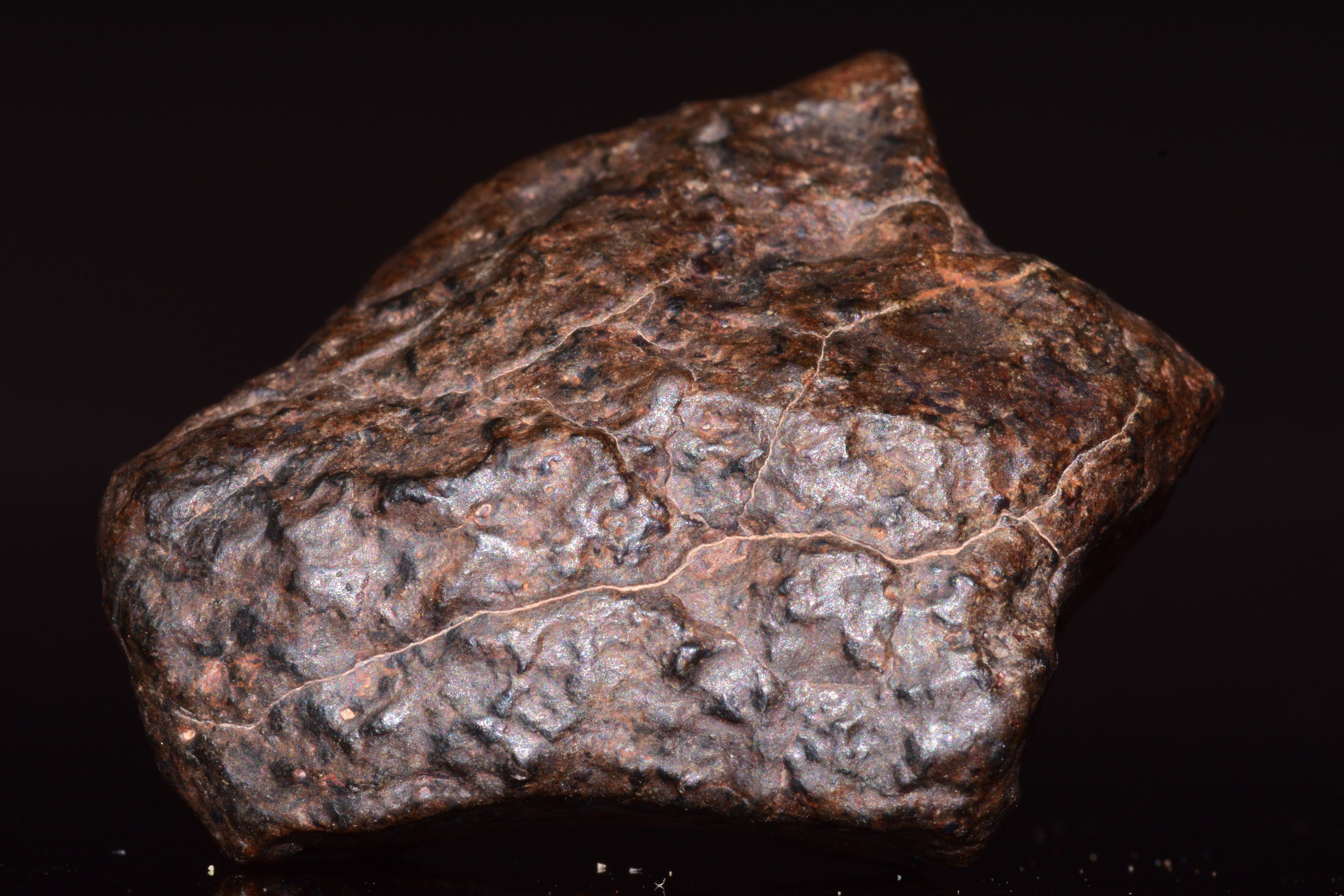 NWA 13272 Ungrouped Achondrite Meteorite