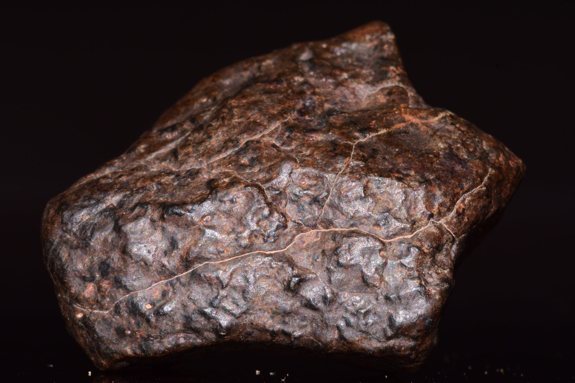 NWA 13272 Ungrouped Achondrite Meteorite