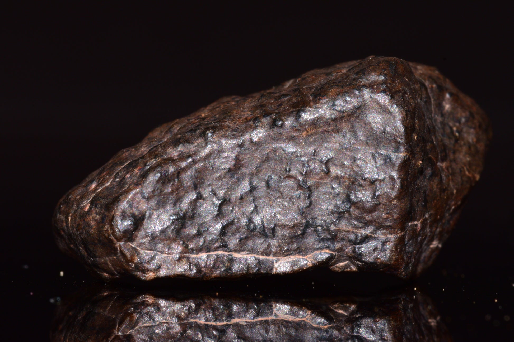 NWA 13272 Ungrouped Achondrite Meteorite