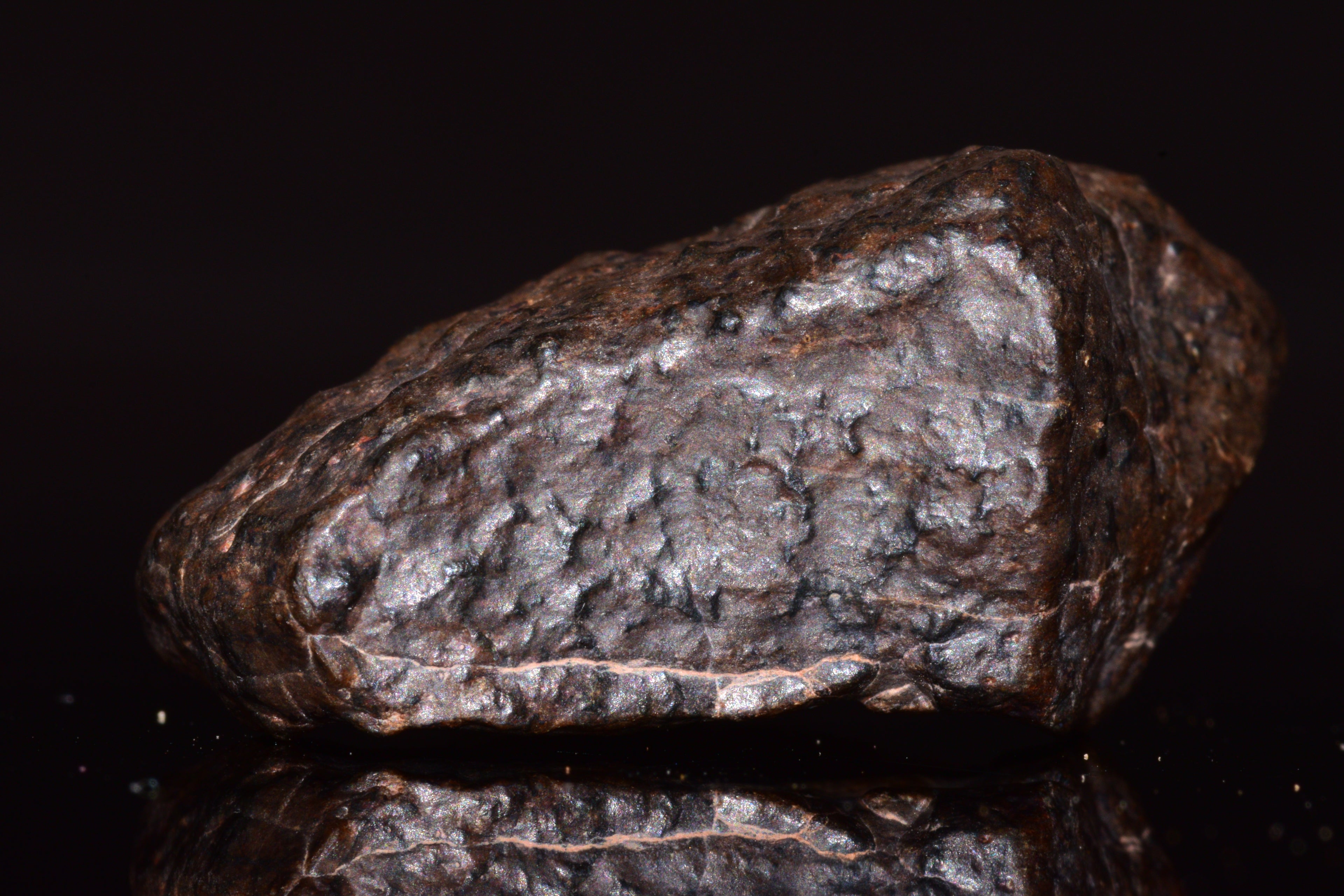 NWA 13272 Ungrouped Achondrite Meteorite