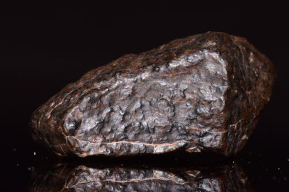 NWA 13272 Ungrouped Achondrite Meteorite