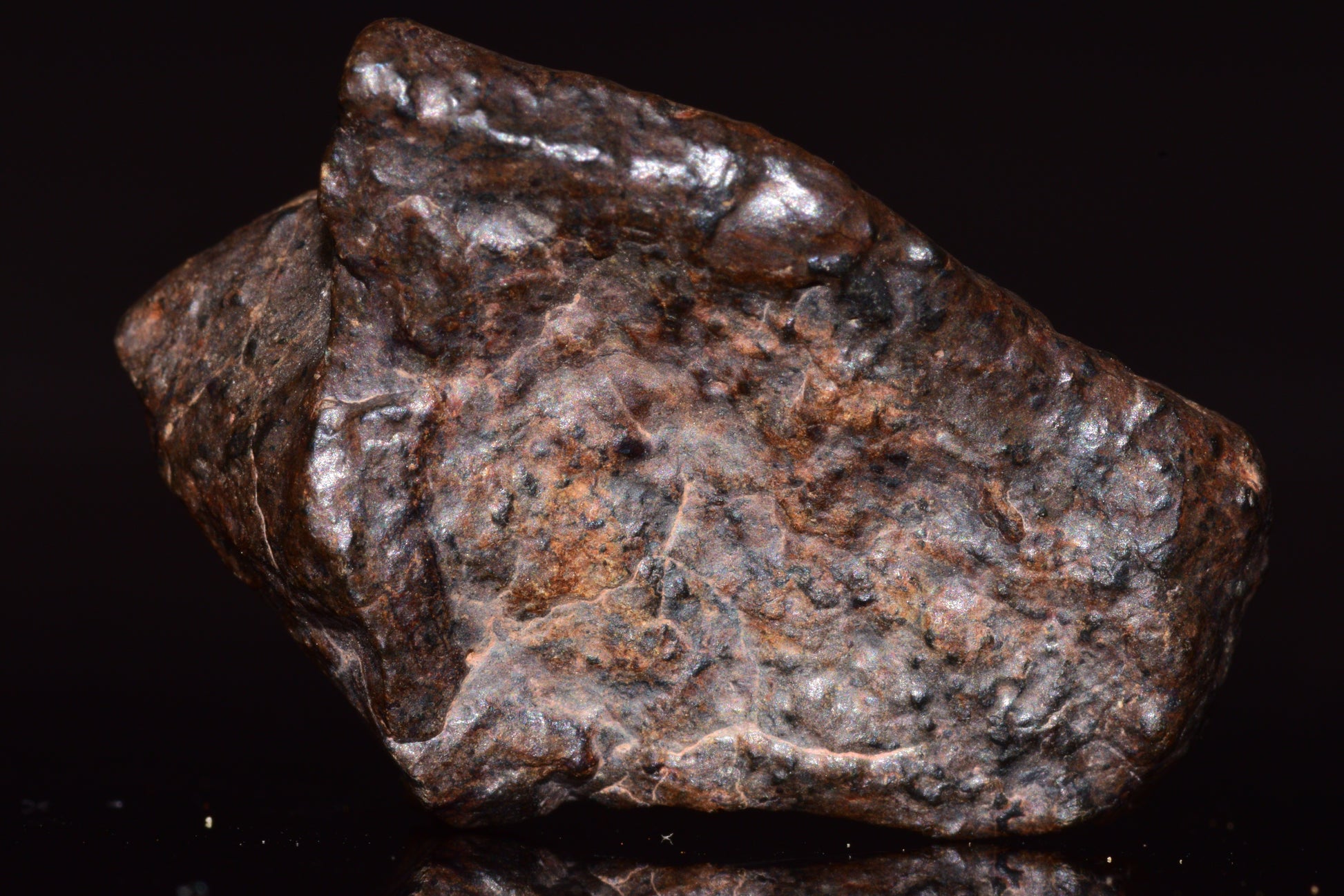 NWA 13272 Ungrouped Achondrite Meteorite