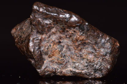 NWA 13272 Ungrouped Achondrite Meteorite