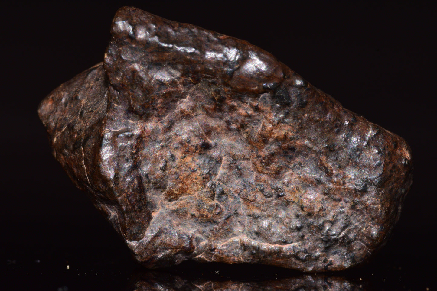 NWA 13272 Ungrouped Achondrite Meteorite