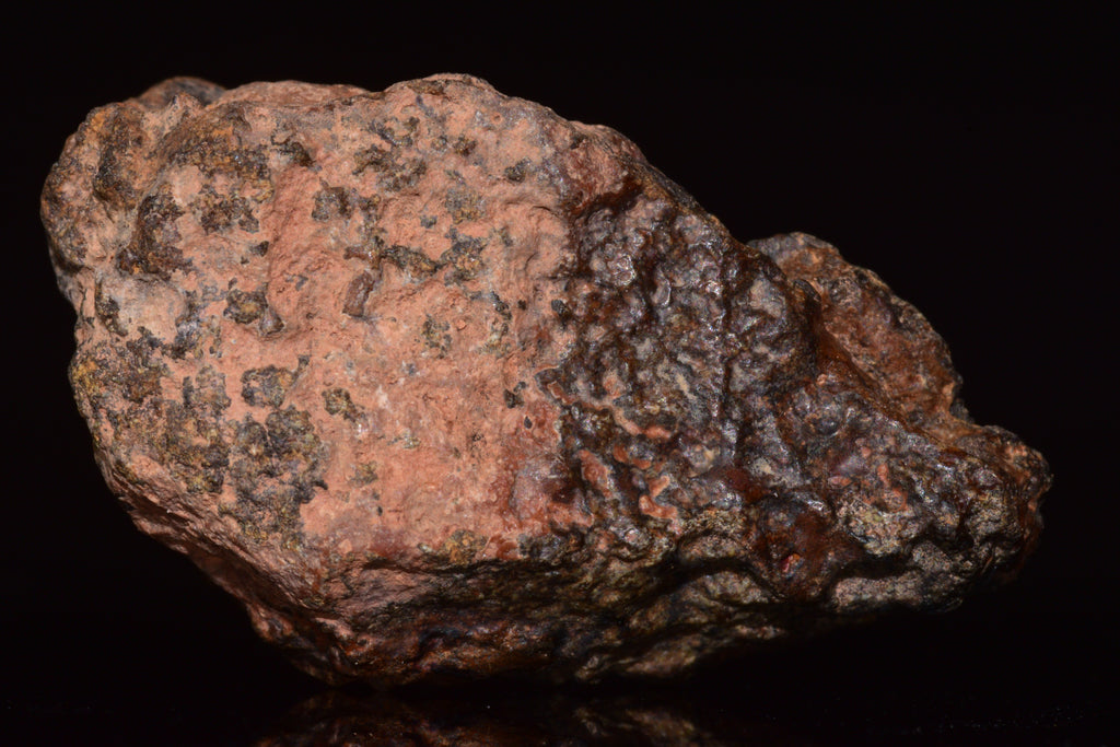 NWA 13272 Ungrouped Achondrite Meteorite