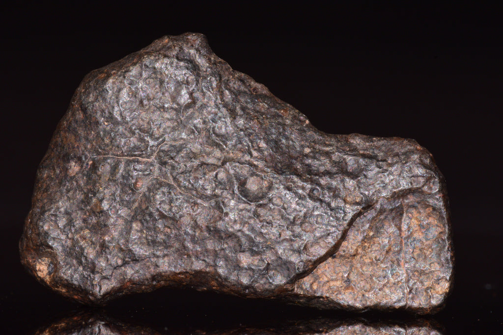 NWA 13272 Ungrouped Achondrite Meteorite&nbsp;