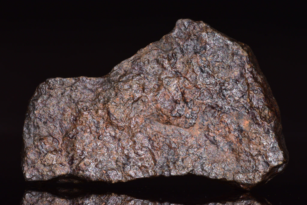 NWA 13272 Ungrouped Achondrite Meteorite&nbsp;