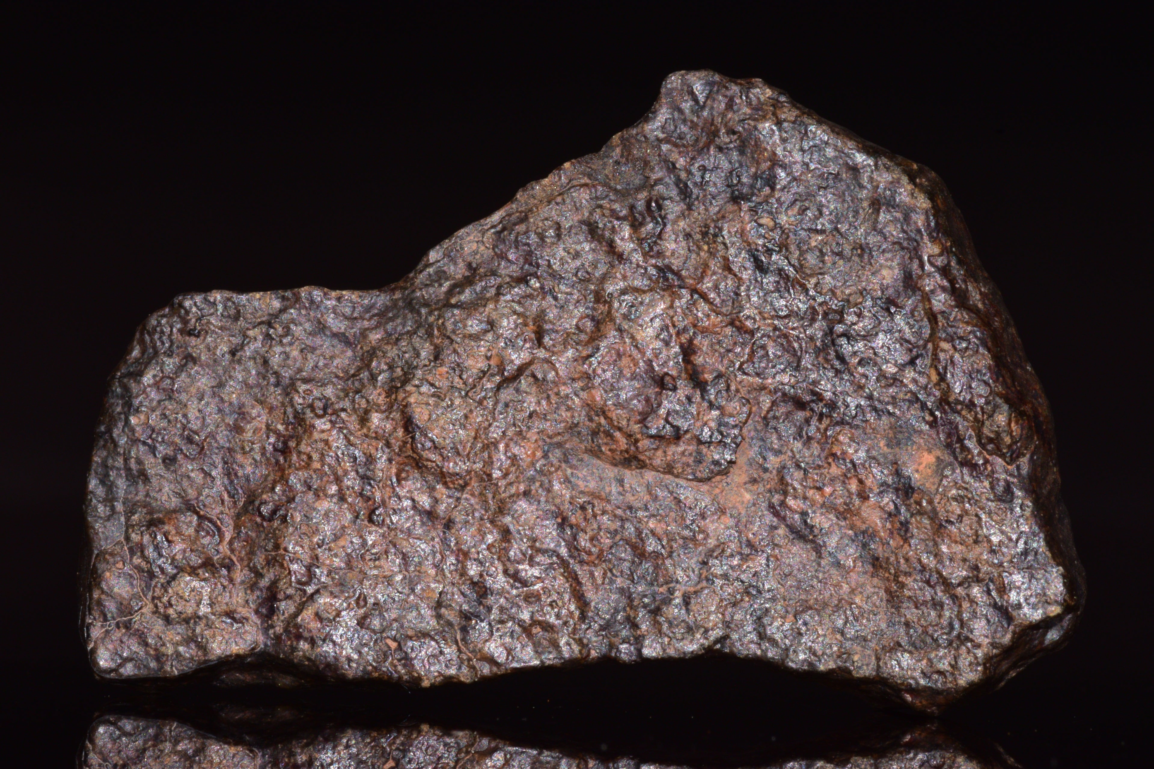 NWA 13272 Ungrouped Achondrite Meteorite&nbsp;