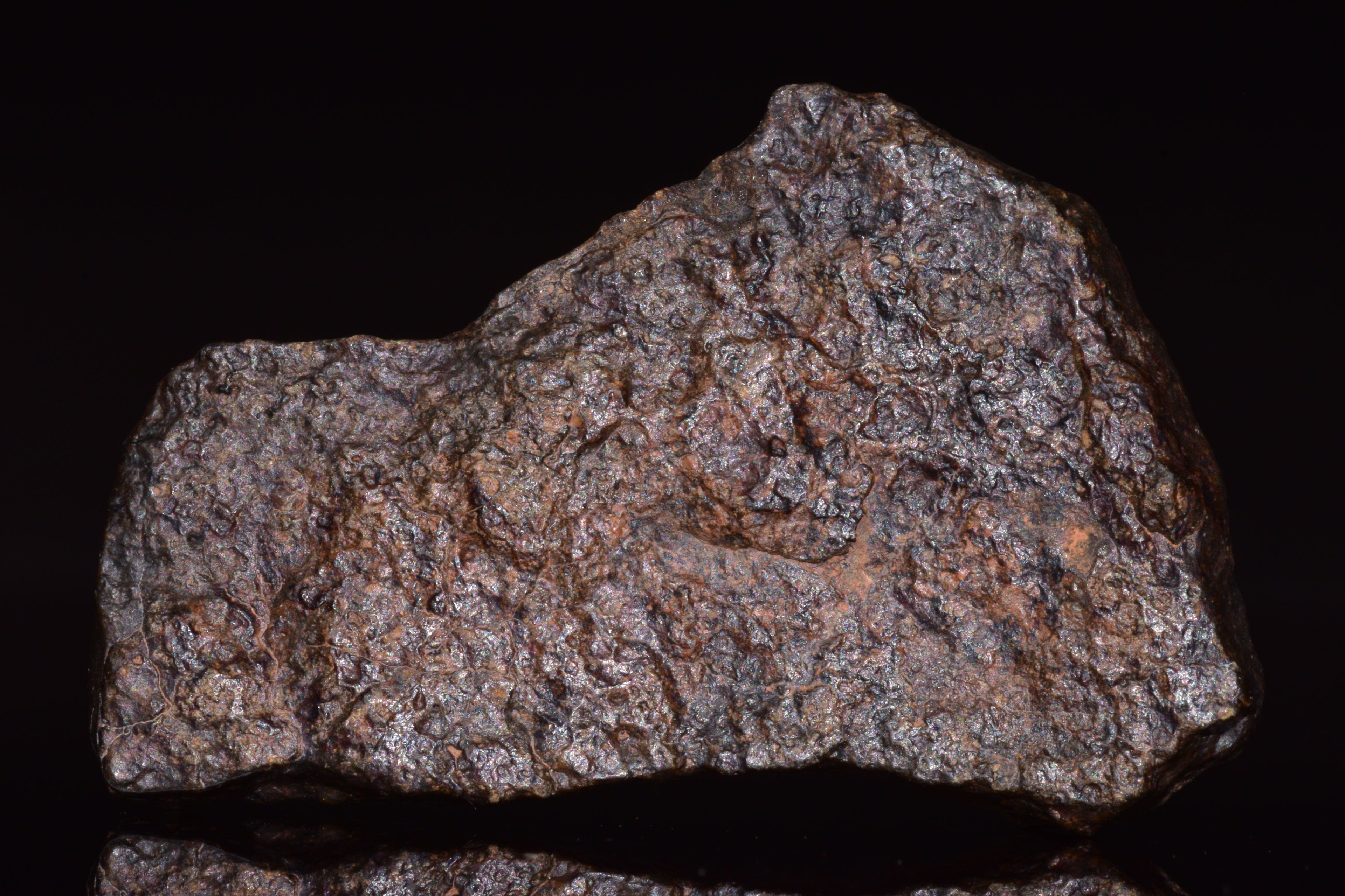 NWA 13272 Ungrouped Achondrite Meteorite&nbsp;