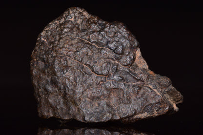 NWA 13272 Ungrouped Achondrite Meteorite&nbsp;