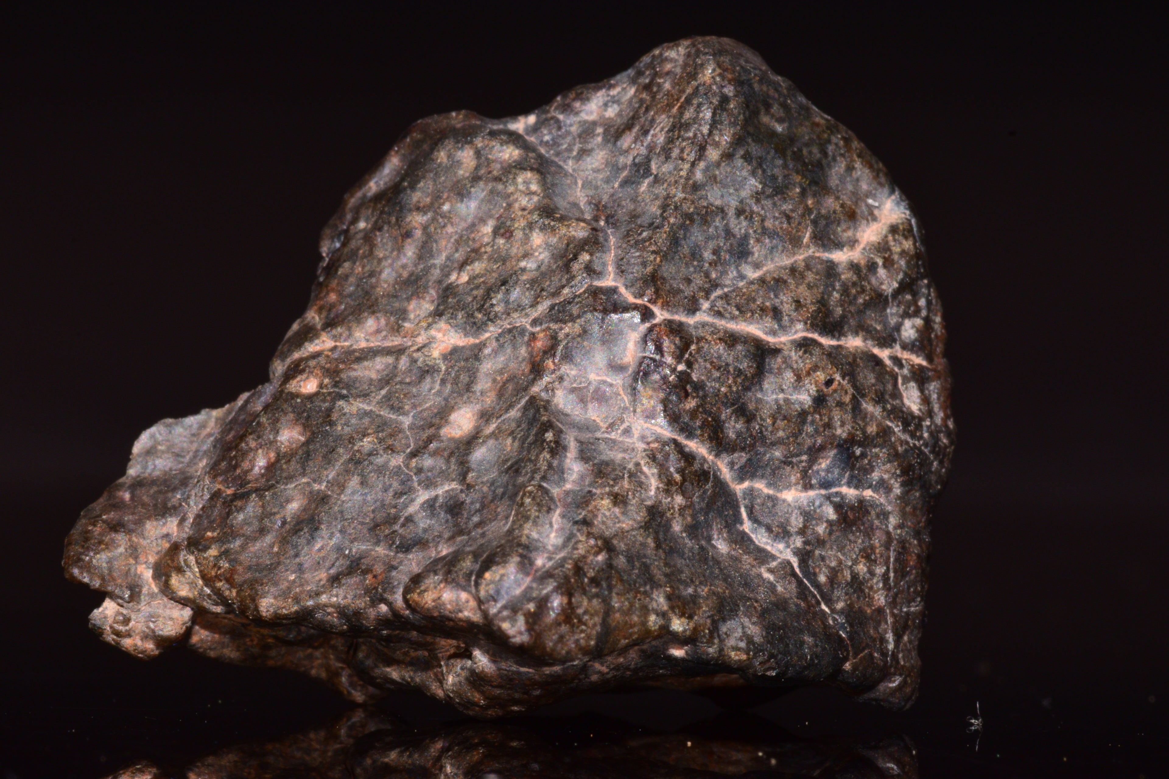 NWA 13272 Ungrouped Achondrite Meteorite&nbsp;