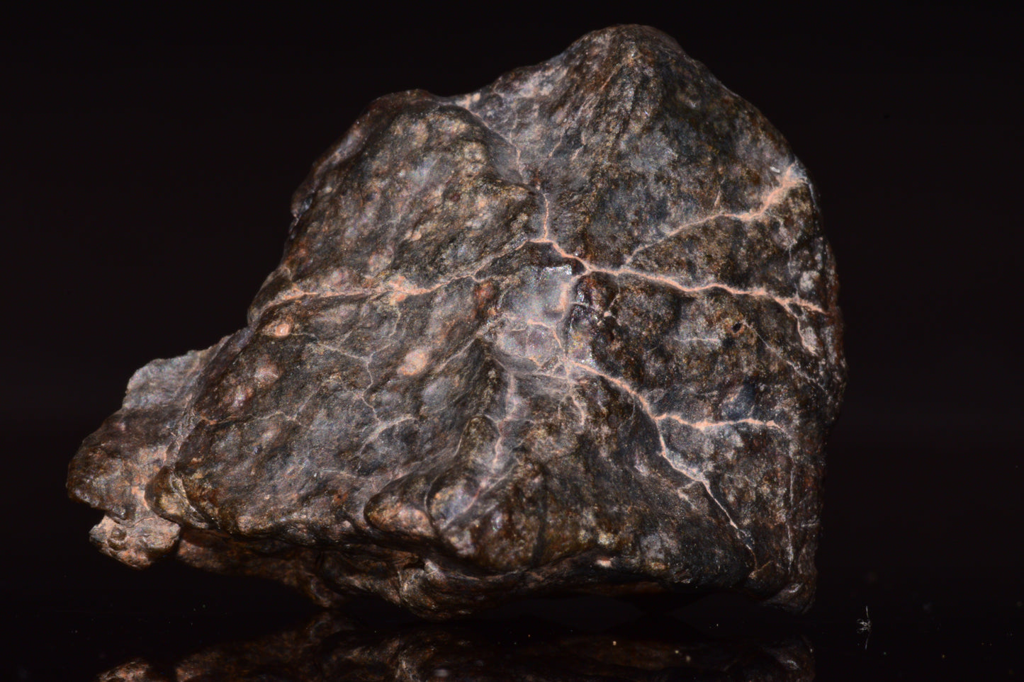 NWA 13272 Ungrouped Achondrite Meteorite&nbsp;