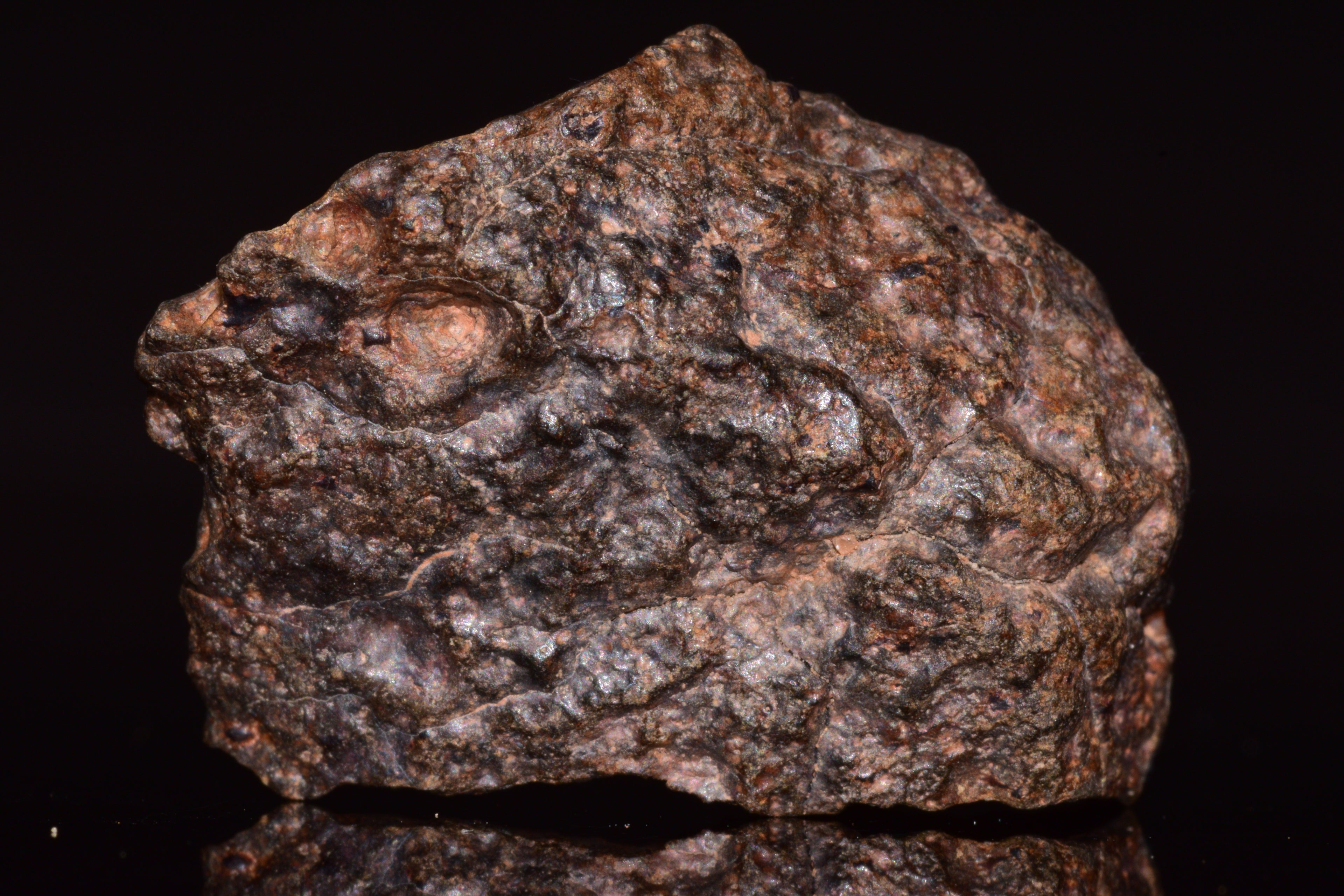 NWA 13272 Ungrouped Achondrite Meteorite&nbsp;