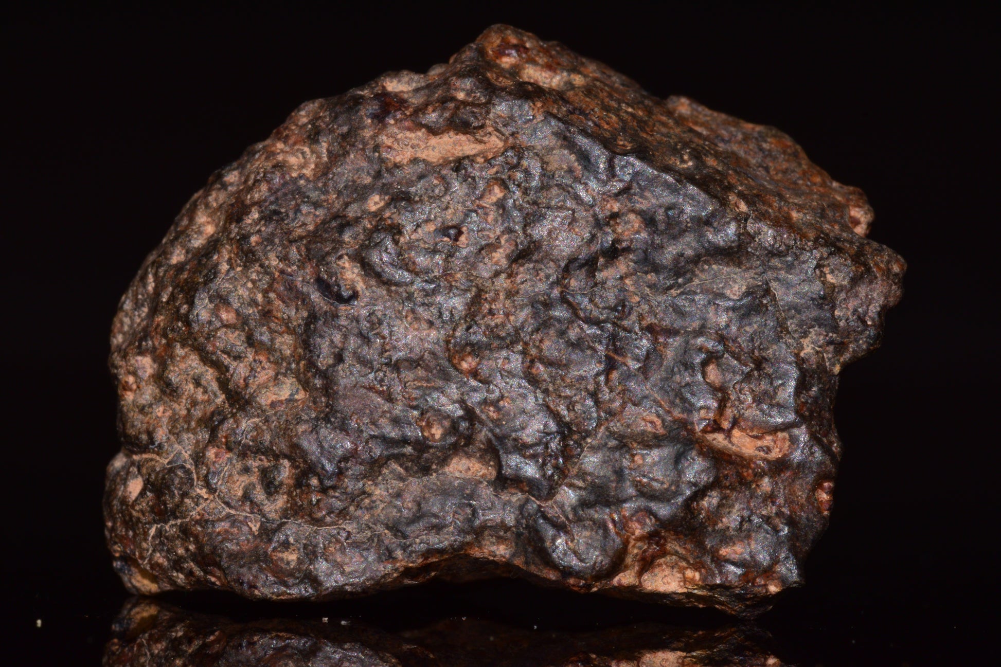 NWA 13272 Ungrouped Achondrite Meteorite&nbsp;