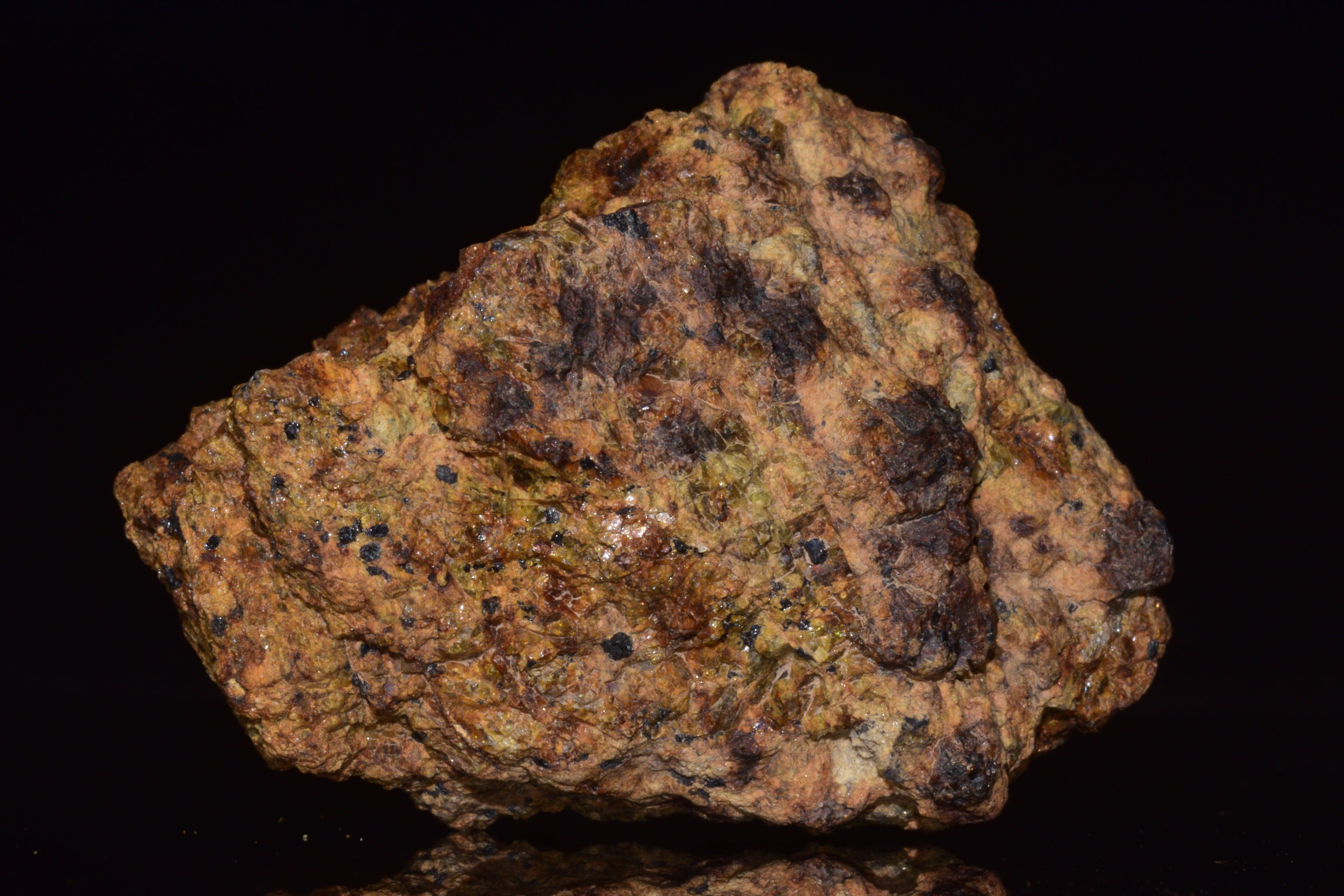 NWA 13692 Diogenite Meteorite Fragmen