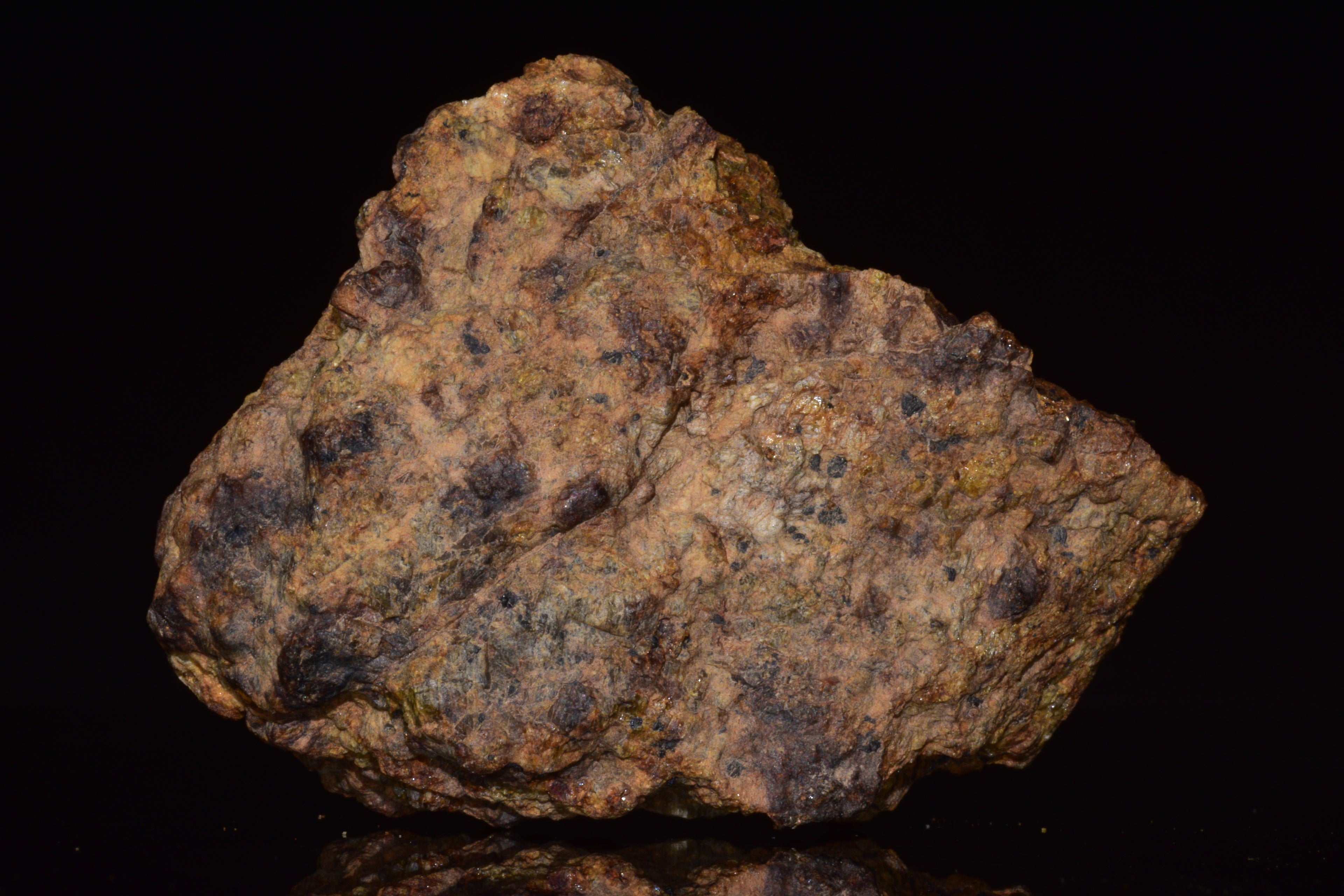 NWA 13692 Diogenite Meteorite Fragmen
