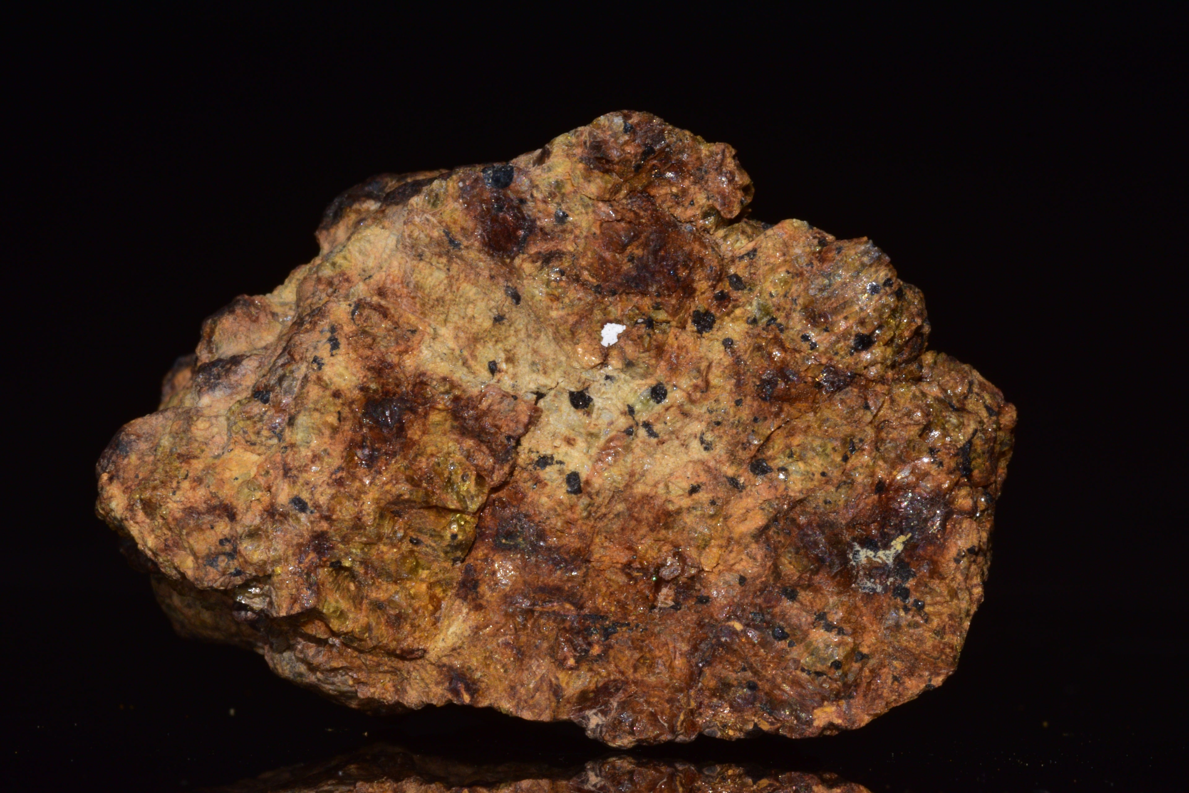 NWA 13692 Diogenite Meteorite Fragmen