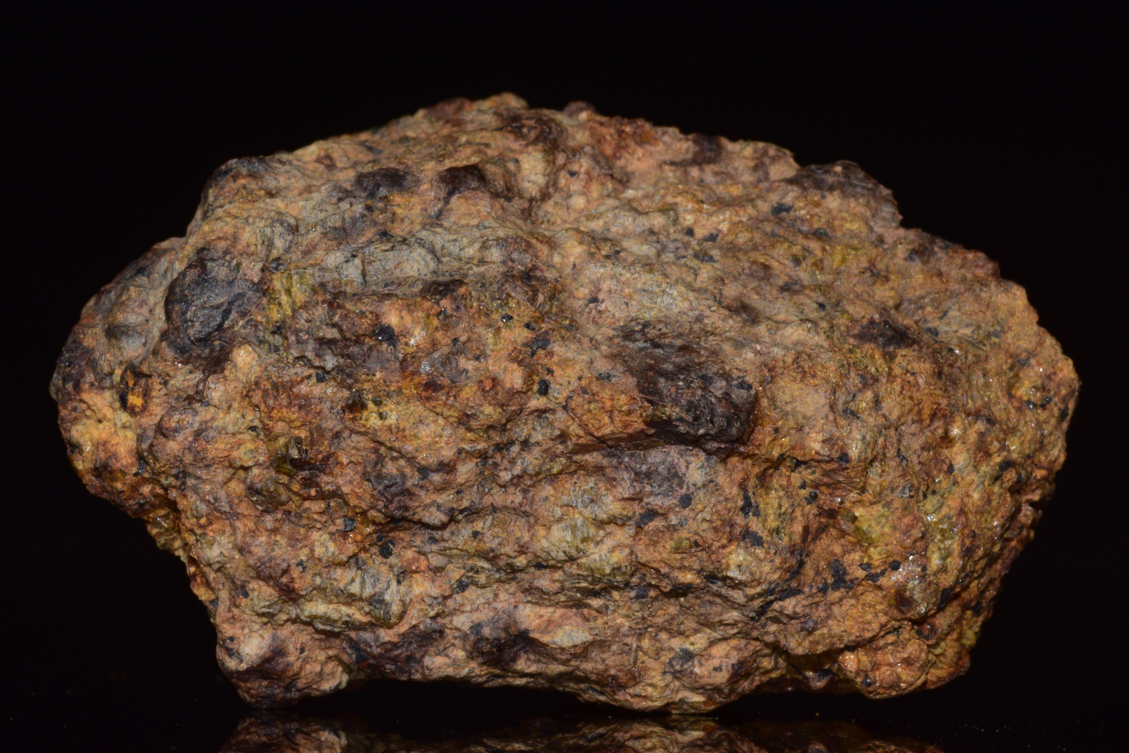 NWA 13692 Diogenite Meteorite Fragmen