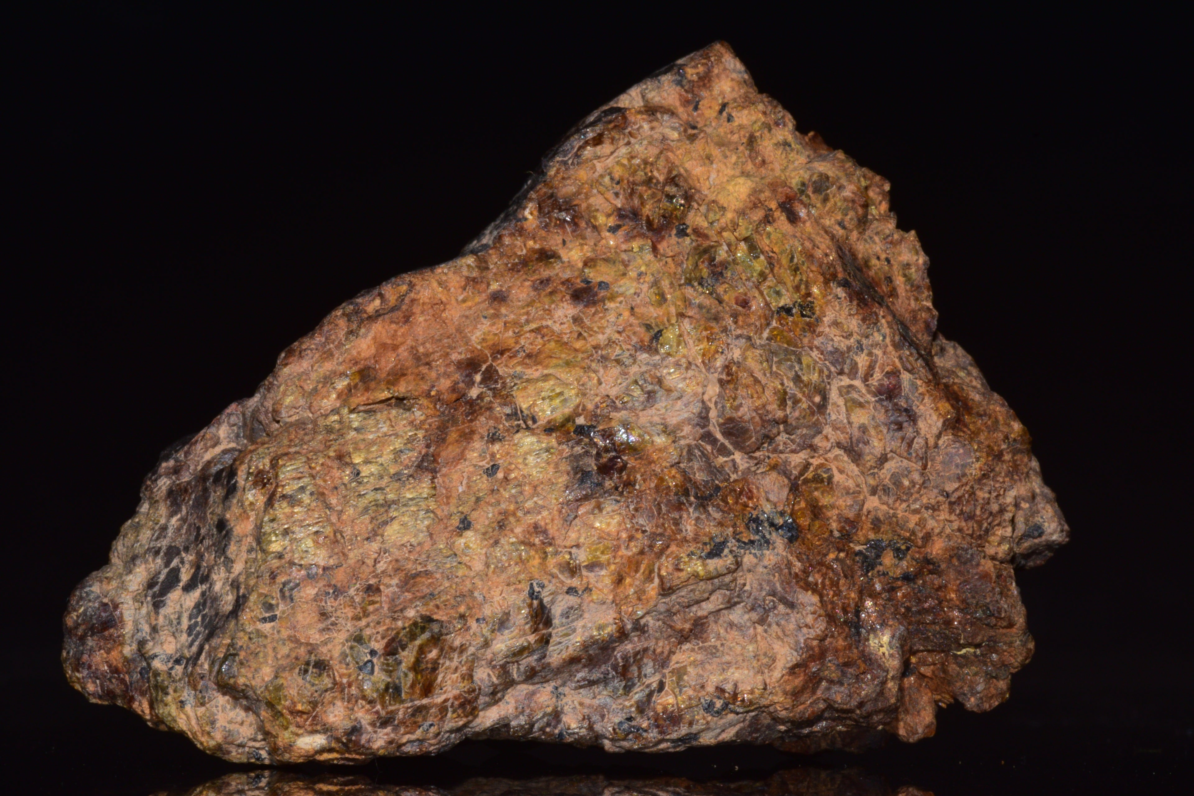 NWA 13692 Diogenite Meteorite Fragment