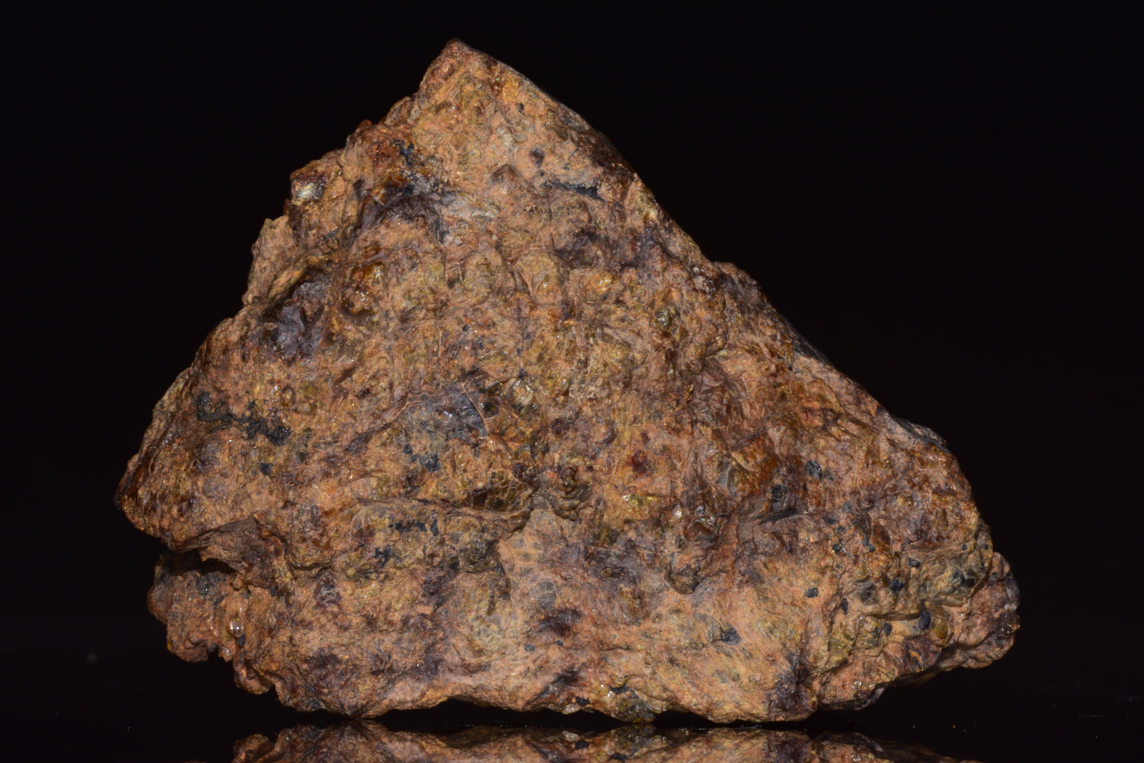 NWA 13692 Diogenite Meteorite Fragment