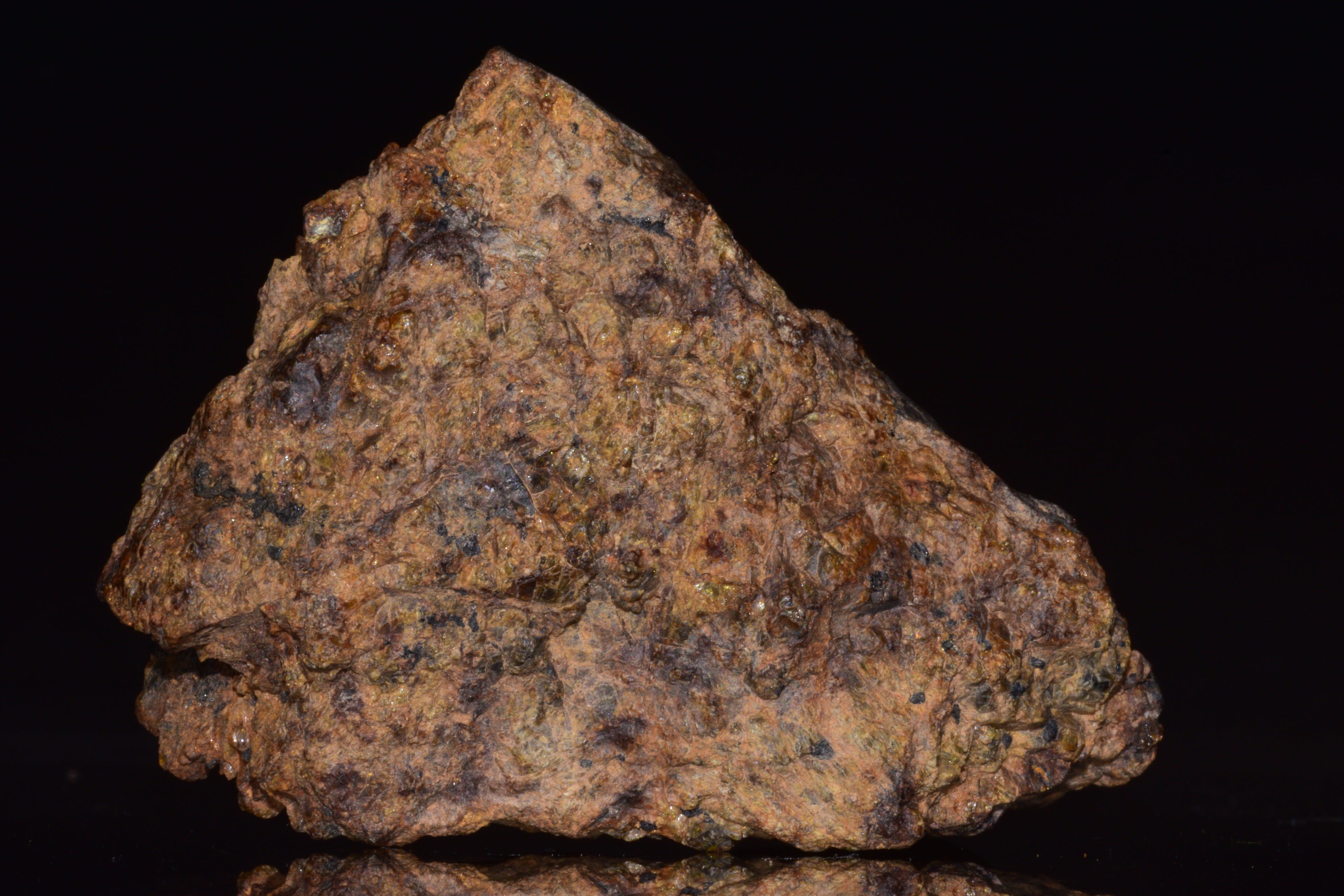 NWA 13692 Diogenite Meteorite Fragment