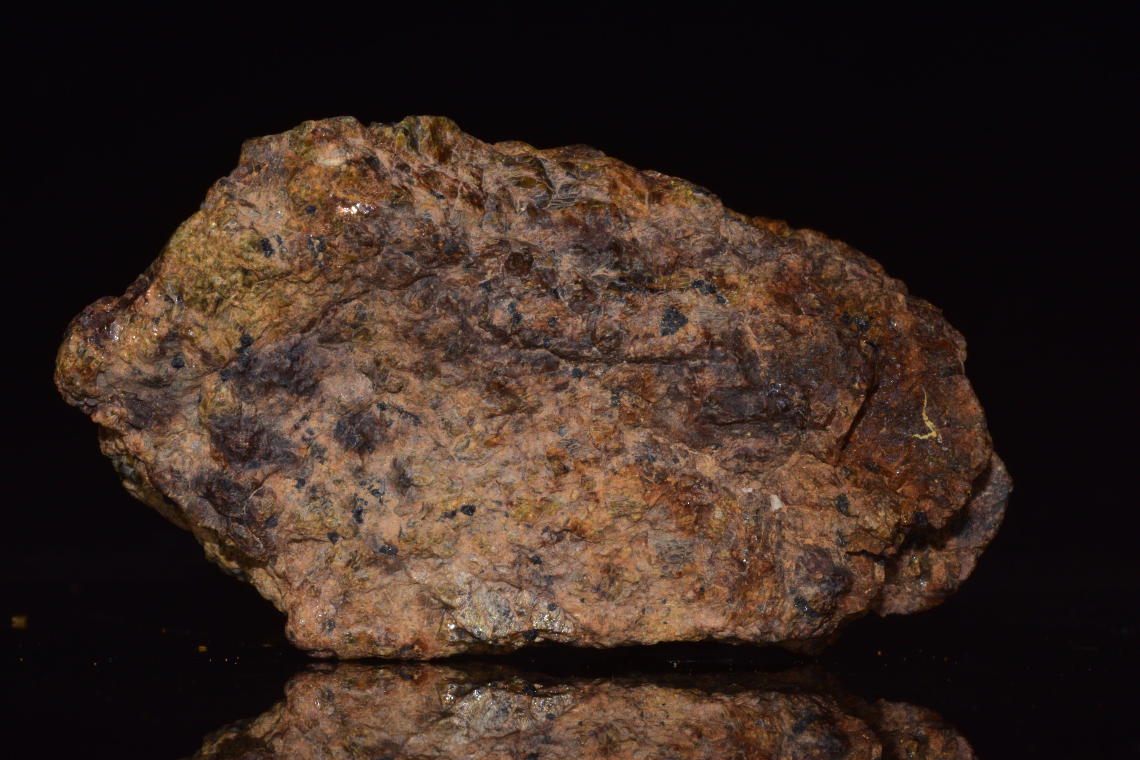 NWA 13692 Diogenite Meteorite Fragment
