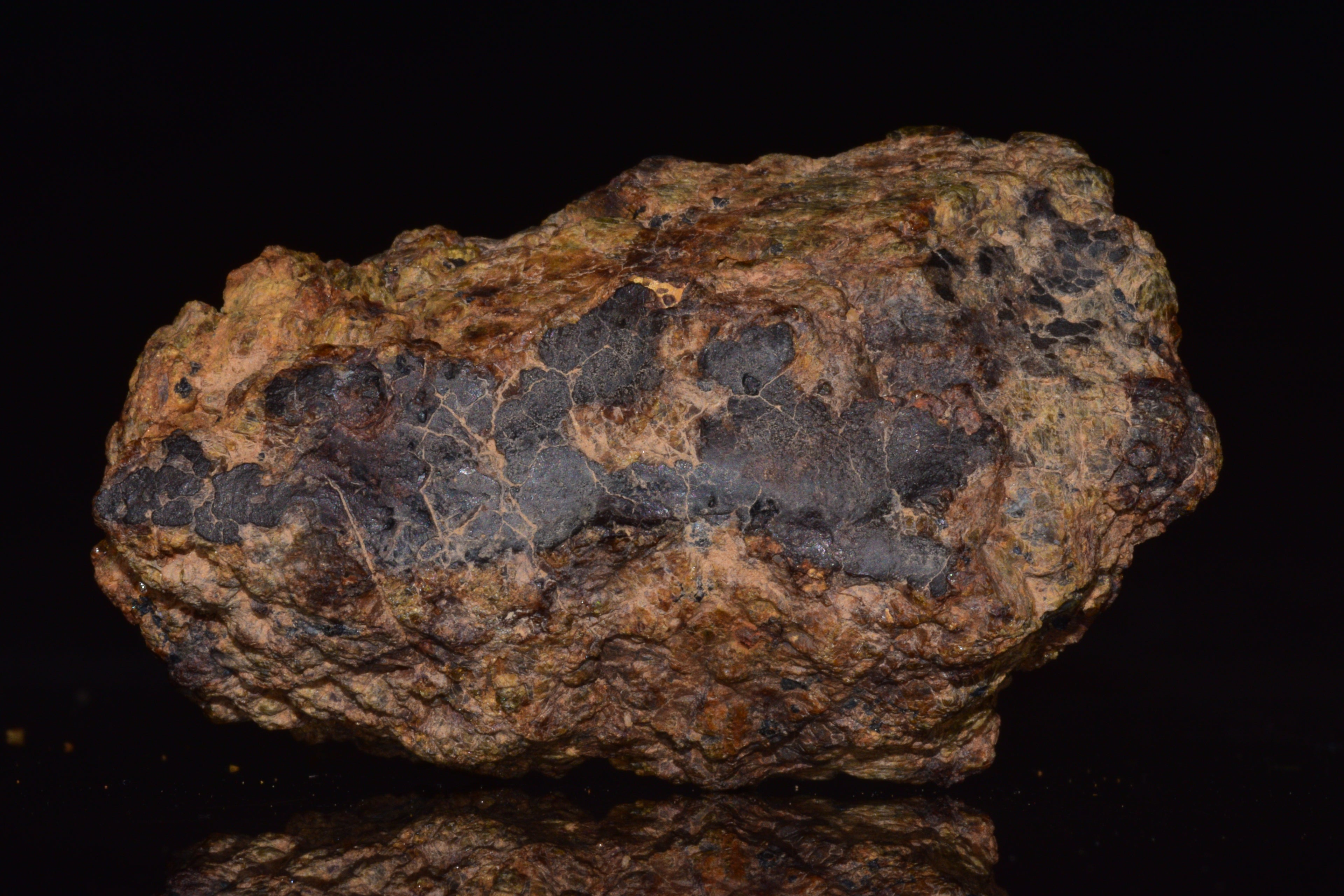 NWA 13692 Diogenite Meteorite Fragment