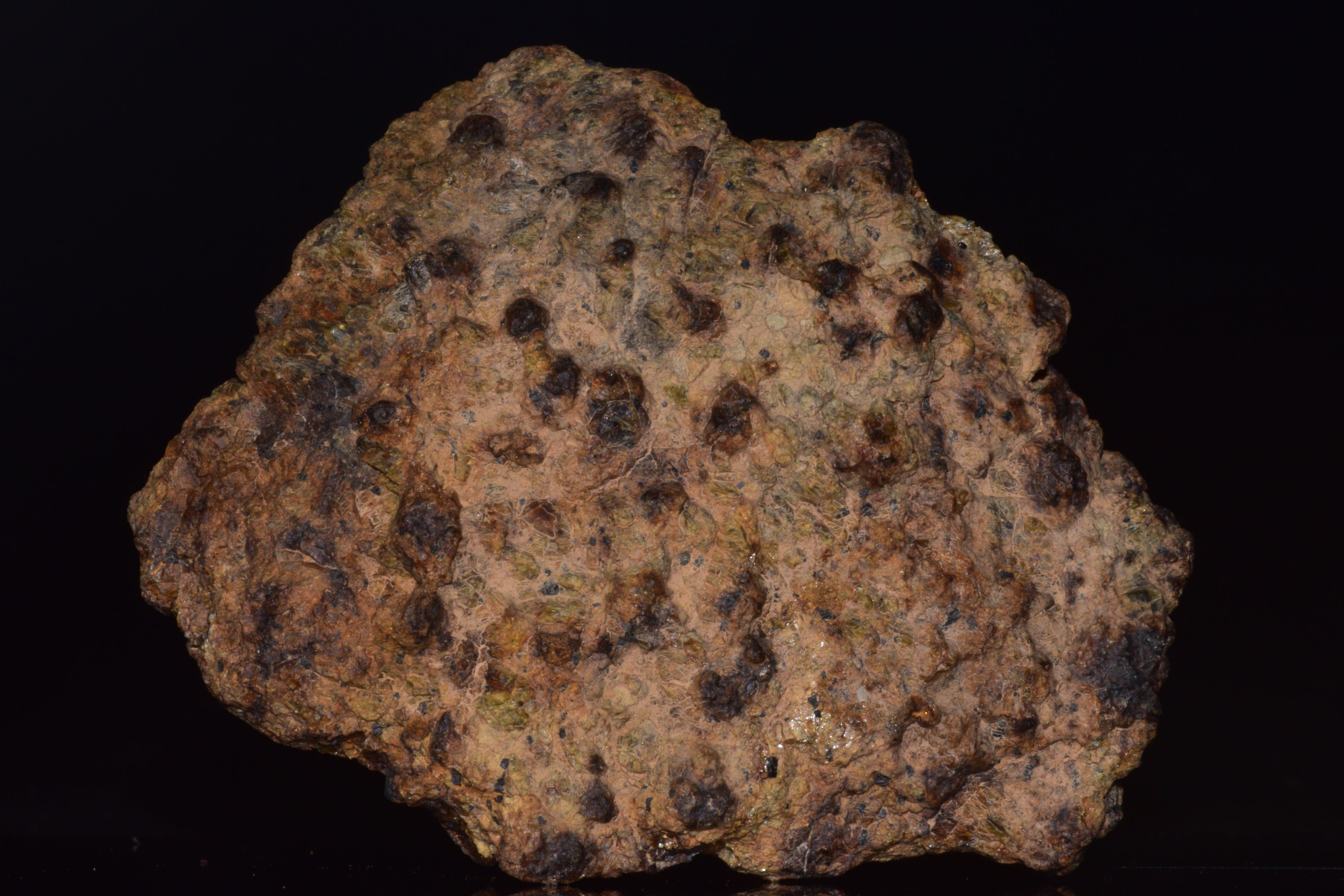 NWA 13692 Diogenite Meteorite Fragment