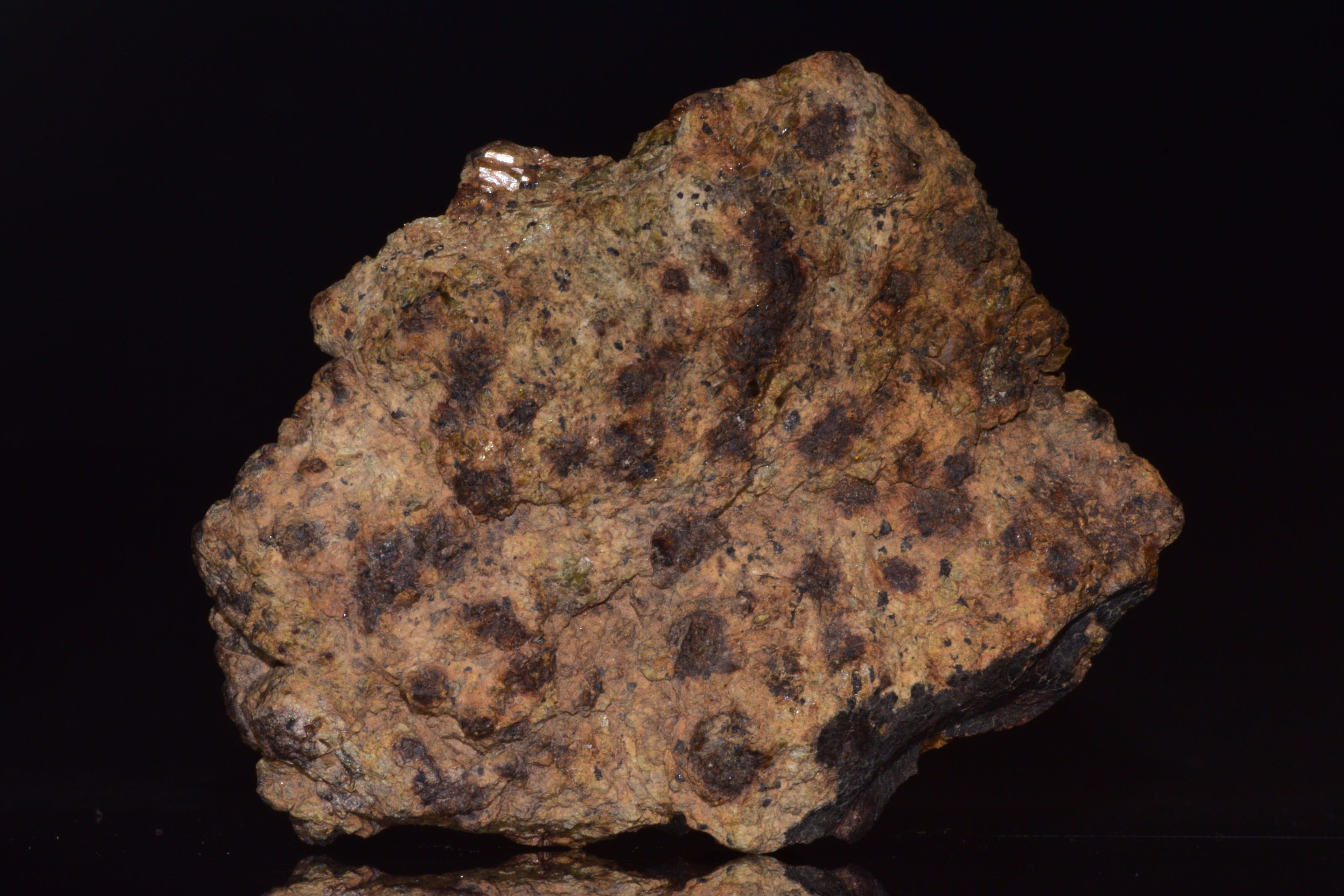 NWA 13692 Diogenite Meteorite Fragment