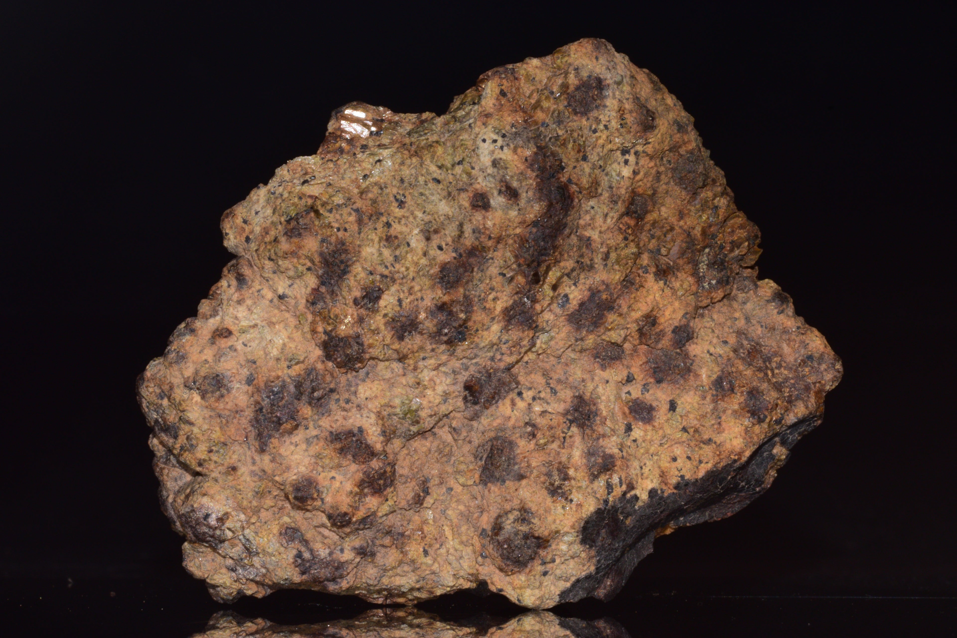 NWA 13692 Diogenite Meteorite Fragment