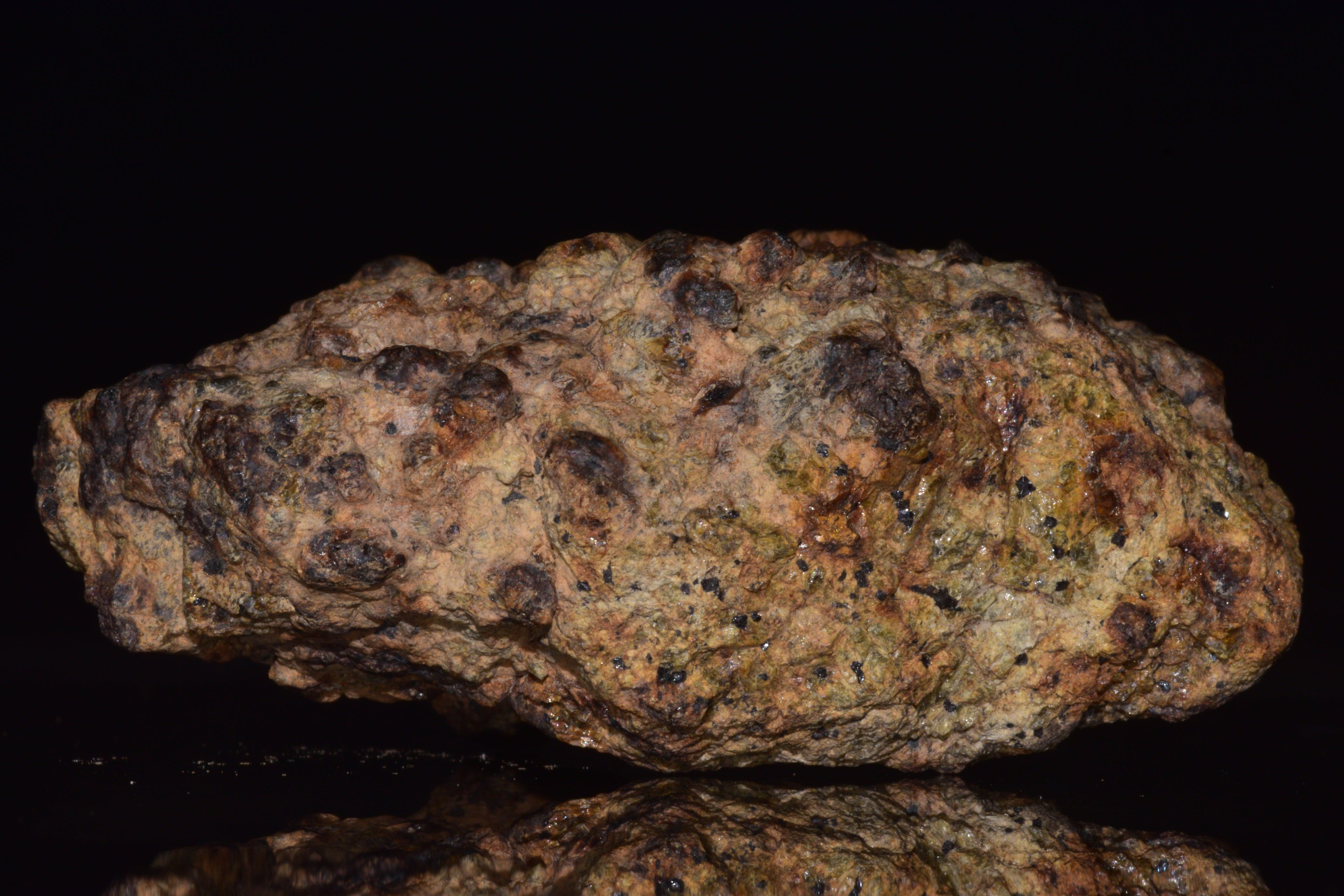 NWA 13692 Diogenite Meteorite Fragment