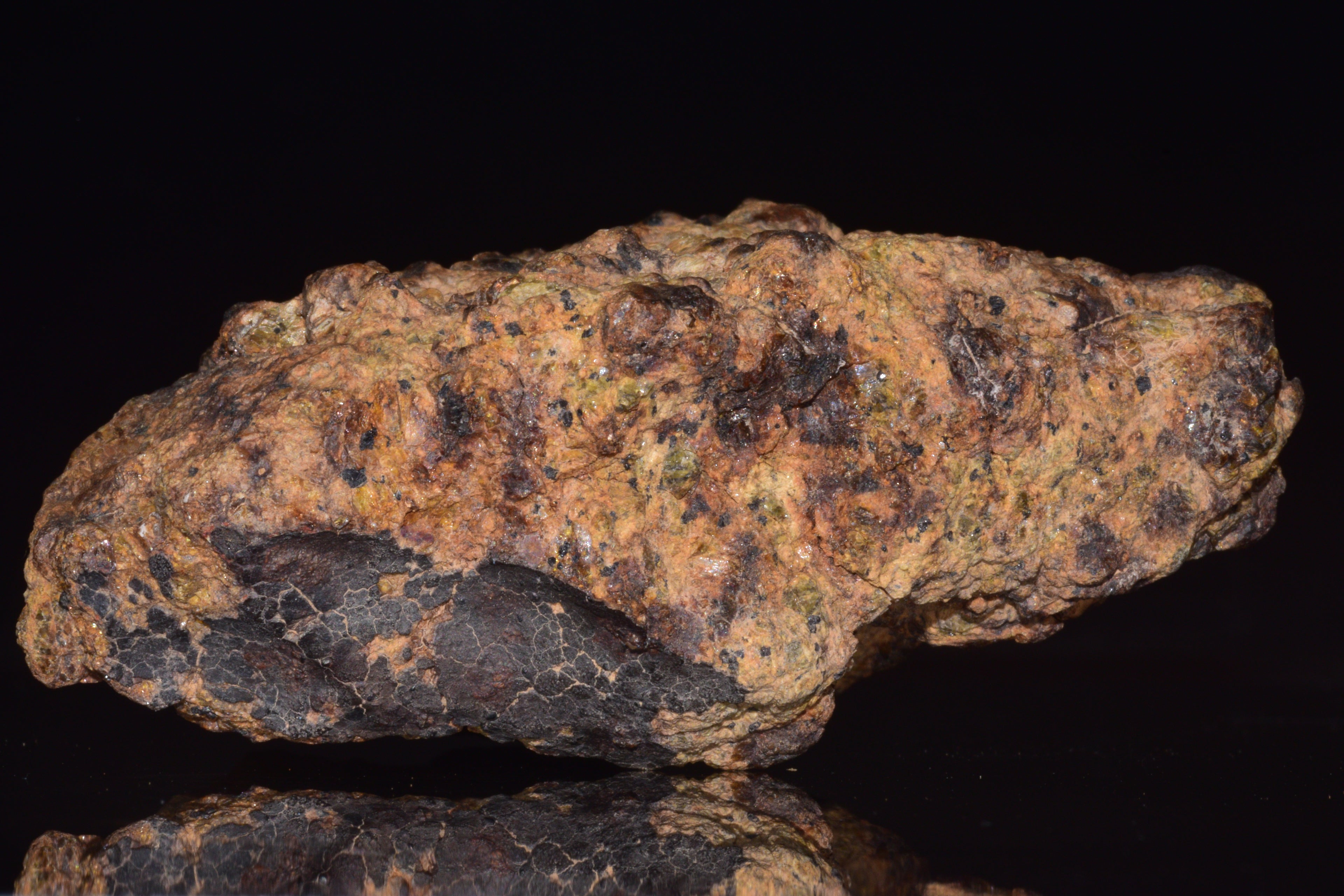 NWA 13692 Diogenite Meteorite Fragment