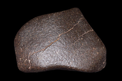 NWA 14003 H4 meteorite from Buy Meteorite LLC showing a dark, irregular stone with mineral inclusions and a rugged surface.