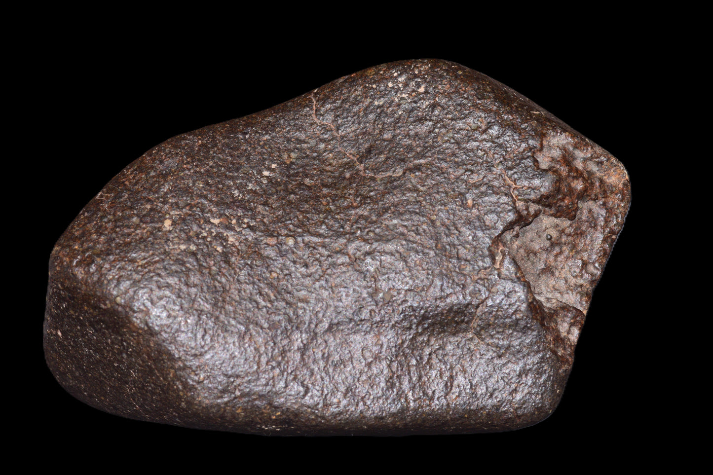 NWA 14003 H4 meteorite from Buy Meteorite, LLC, showing a dark, irregular ordinary chondrite with textured surface.