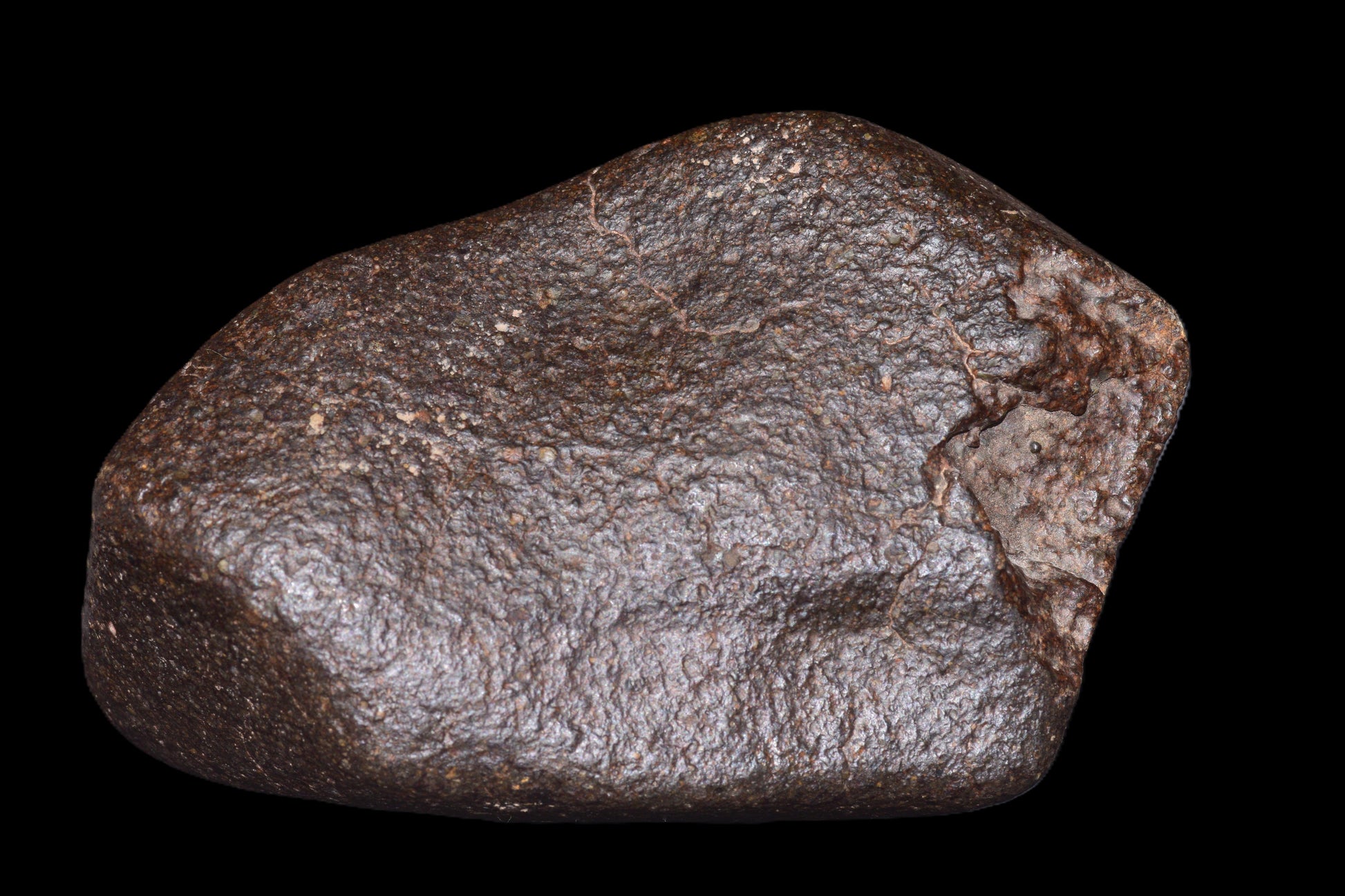 NWA 14003 H4 meteorite from Buy Meteorite, LLC, showing a dark, irregular ordinary chondrite with textured surface.