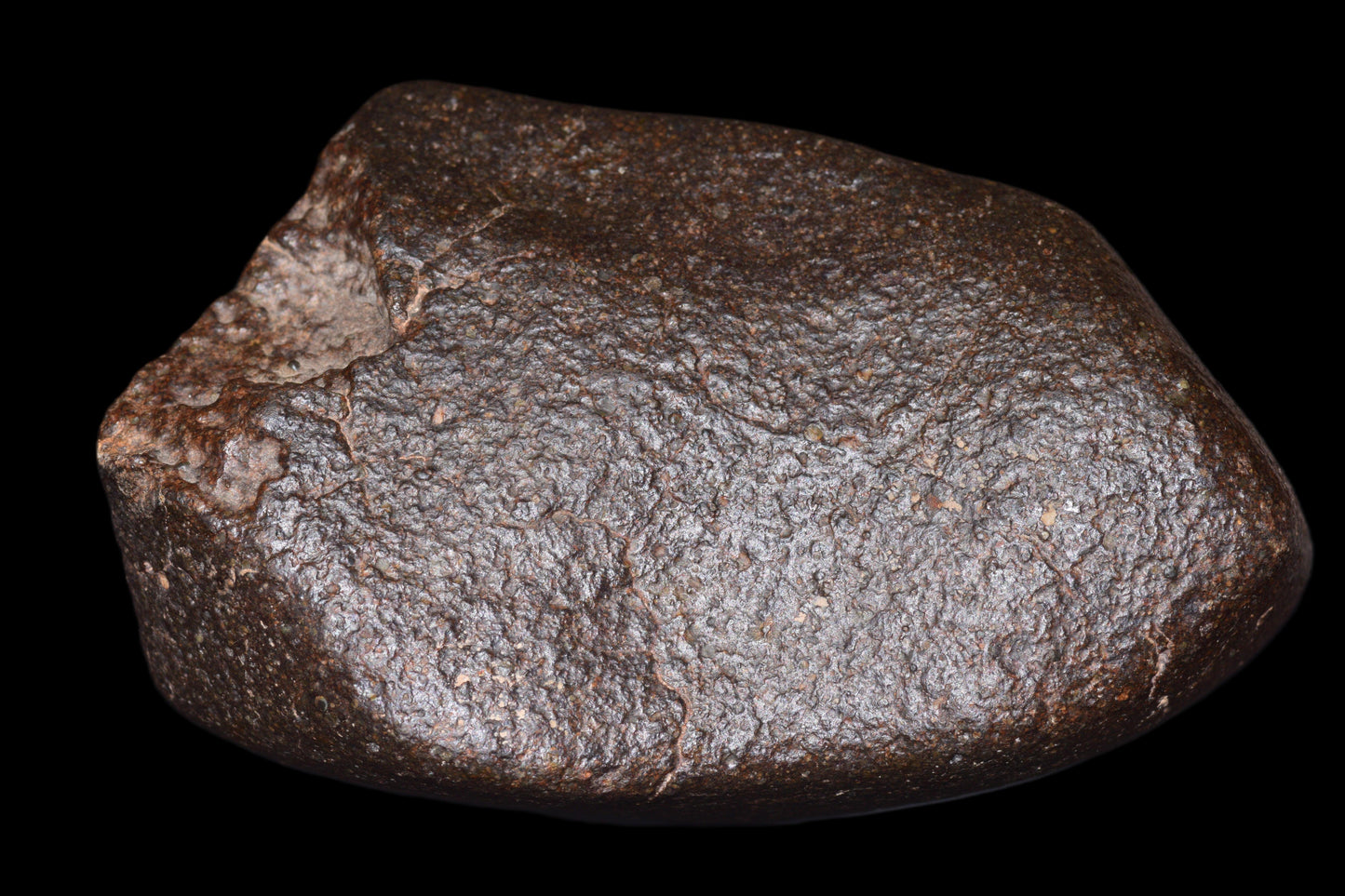 NWA 14003 H4 meteorite from Buy Meteorite, LLC, showing a dark, irregular asteroid fragment with a rough surface.