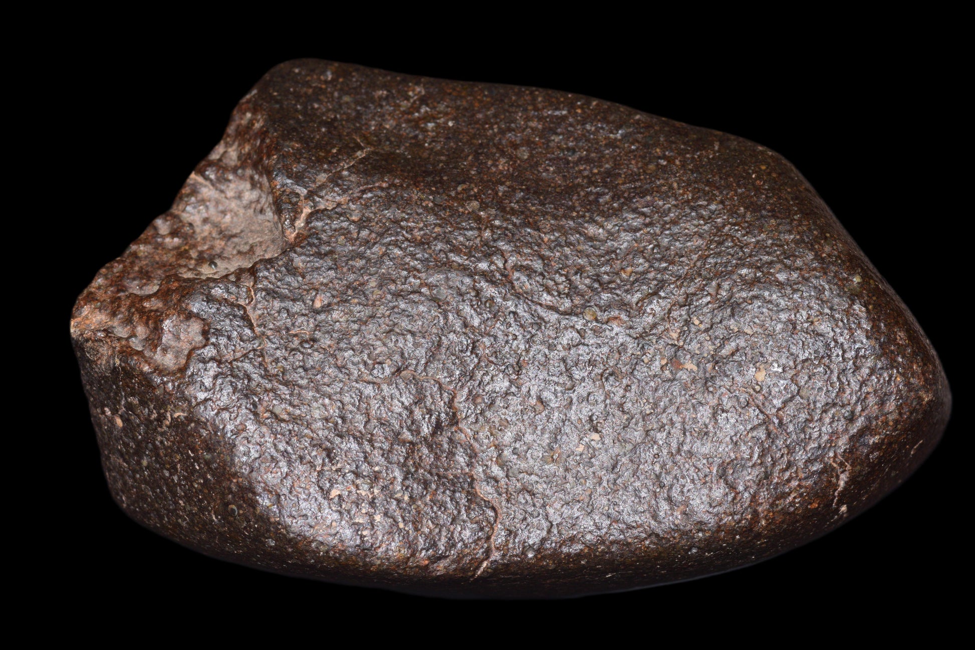 NWA 14003 H4 meteorite from Buy Meteorite, LLC, showing a dark, irregular asteroid fragment with a rough surface.