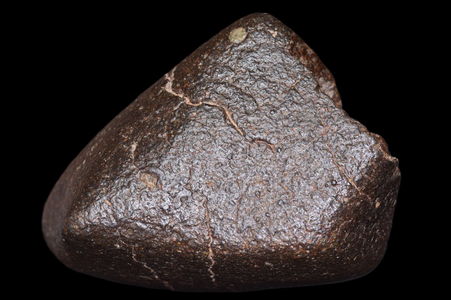 NWA 14003 H4 ordinary chondrite meteorite from Buy Meteorite, LLC, showing a dark, irregularly shaped rock with crust and mineral details.