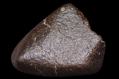 NWA 14003 H4 ordinary chondrite meteorite from Buy Meteorite, LLC, showing a dark, irregularly shaped rock with crust and mineral details.
