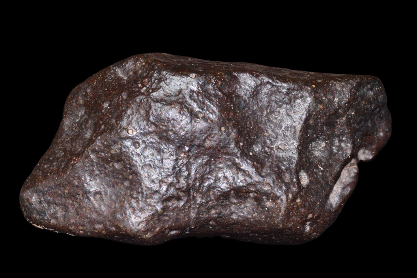 NWA 14003 H4 meteorite from Buy Meteorite, LLC, showing a 229.9 g ordinary chondrite with textured surface and metallic luster.
