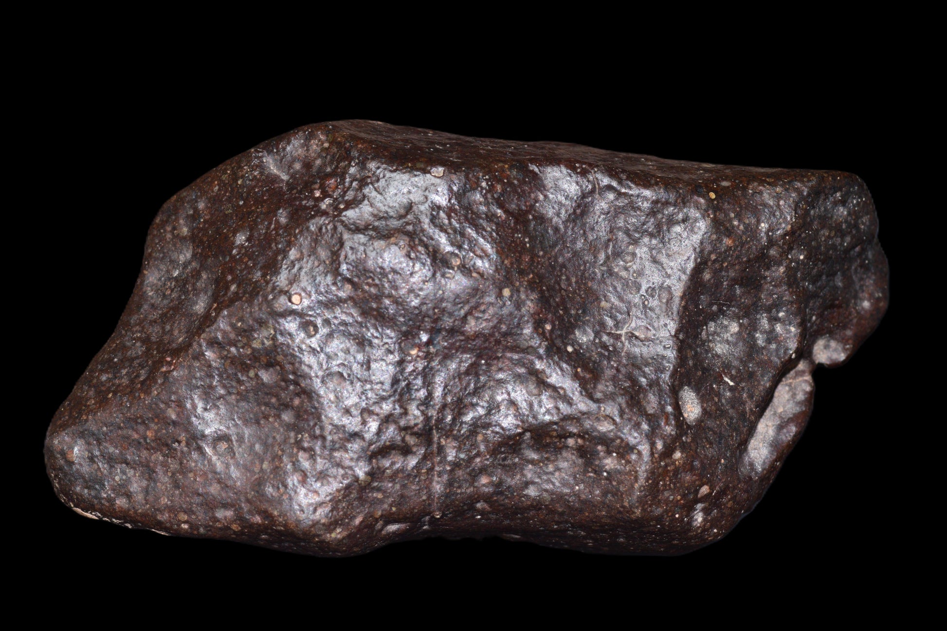 NWA 14003 H4 meteorite from Buy Meteorite, LLC, showing a 229.9 g ordinary chondrite with textured surface and metallic luster.