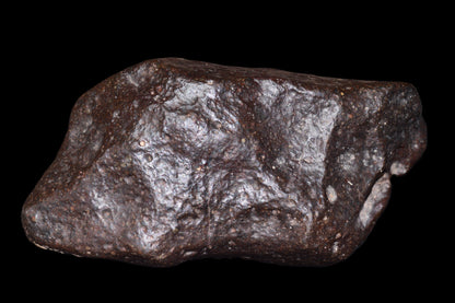 NWA 14003 H4 meteorite from Buy Meteorite, LLC, showing a 229.9 g ordinary chondrite with textured surface and metallic luster.
