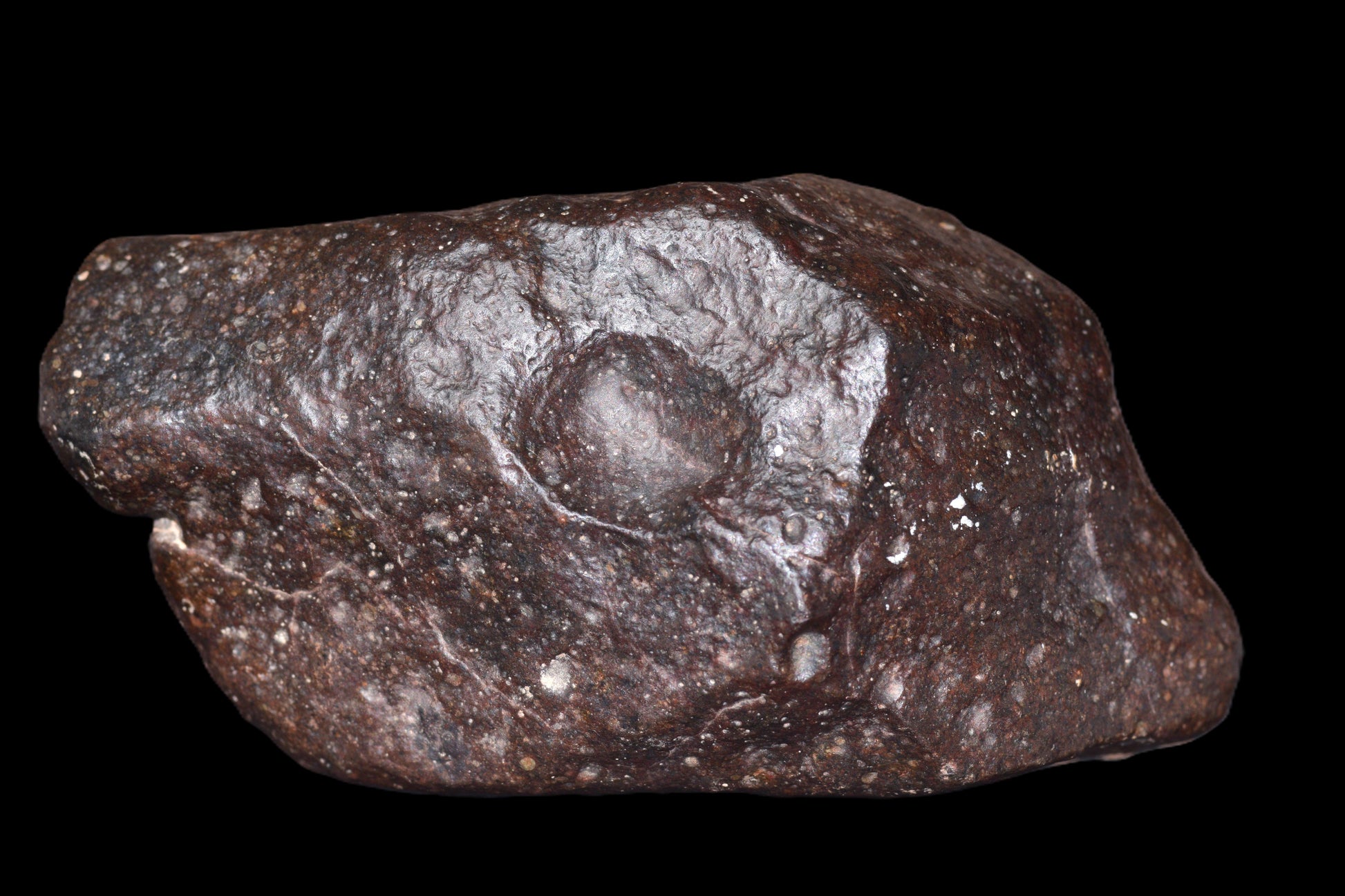 NWA 14003 H4 meteorite, an ordinary chondrite, weighing 229.9 grams, displayed on a neutral background.