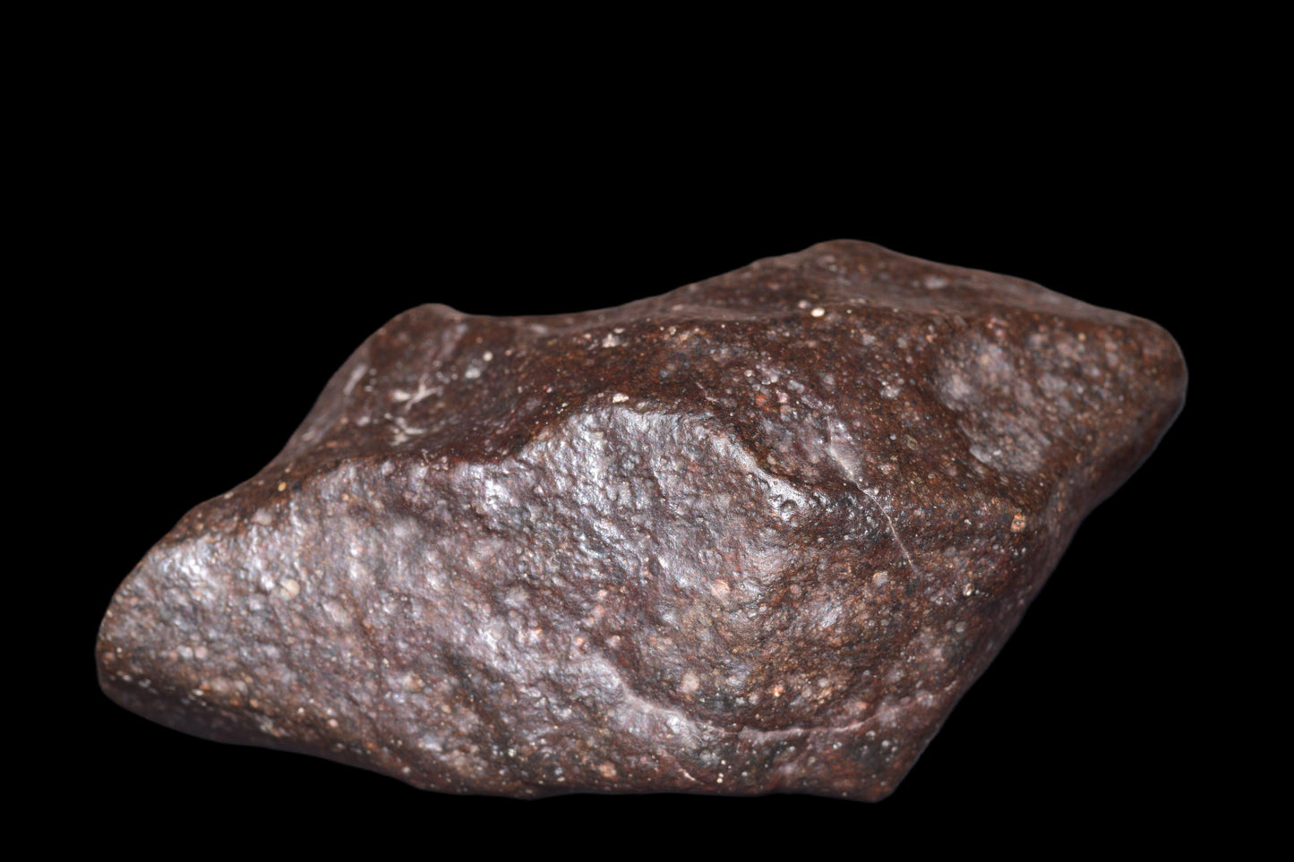 NWA 14003 H4 meteorite, an ordinary chondrite from Buy Meteorite LLC, showing a dark, textured surface with mineral inclusions.