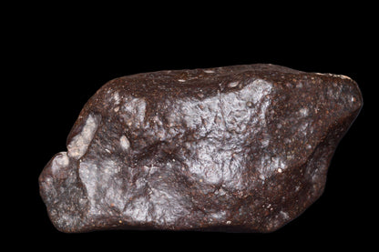 NWA 14003 H4 ordinary chondrite meteorite with 229.9g from Buy Meteorite, LLC, showing rough, metallic surface and unique mineral texture.