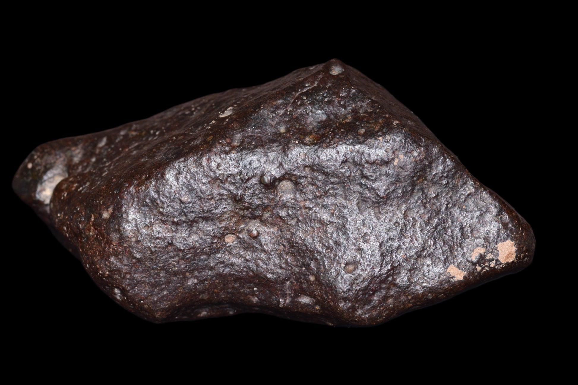 NWA 14003 H4 meteorite with 229.9g weight, showing rough surface and chondrite texture, from Buy Meteorite, LLC.