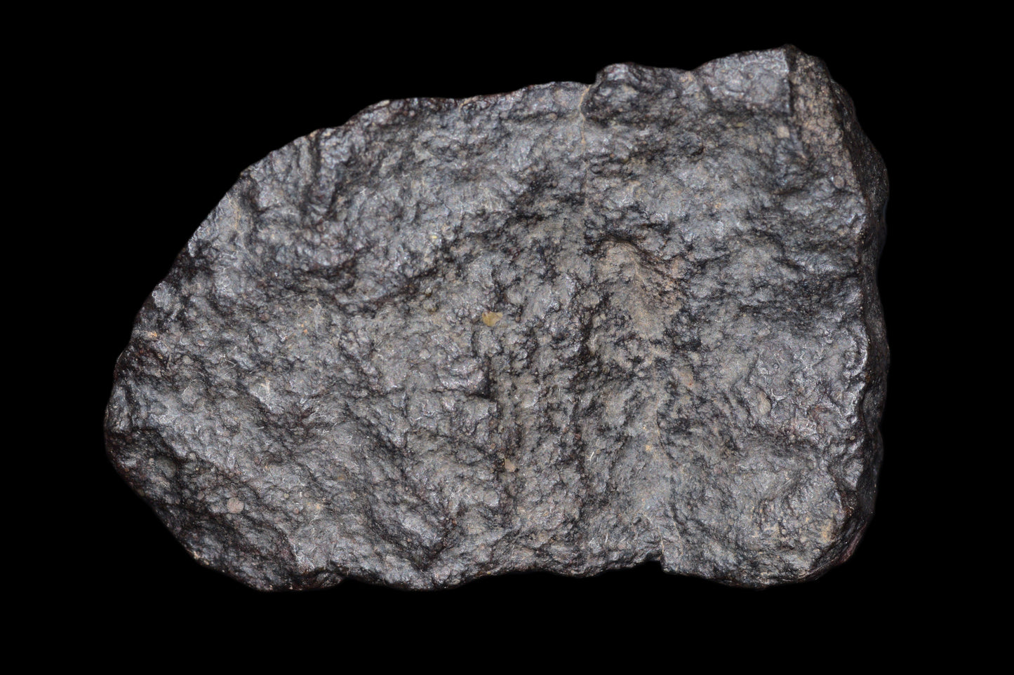 NWA 14003 H4 ordinary chondrite meteorite weighing 108.2 grams, shown with its textured, dark exterior and mineral details.
