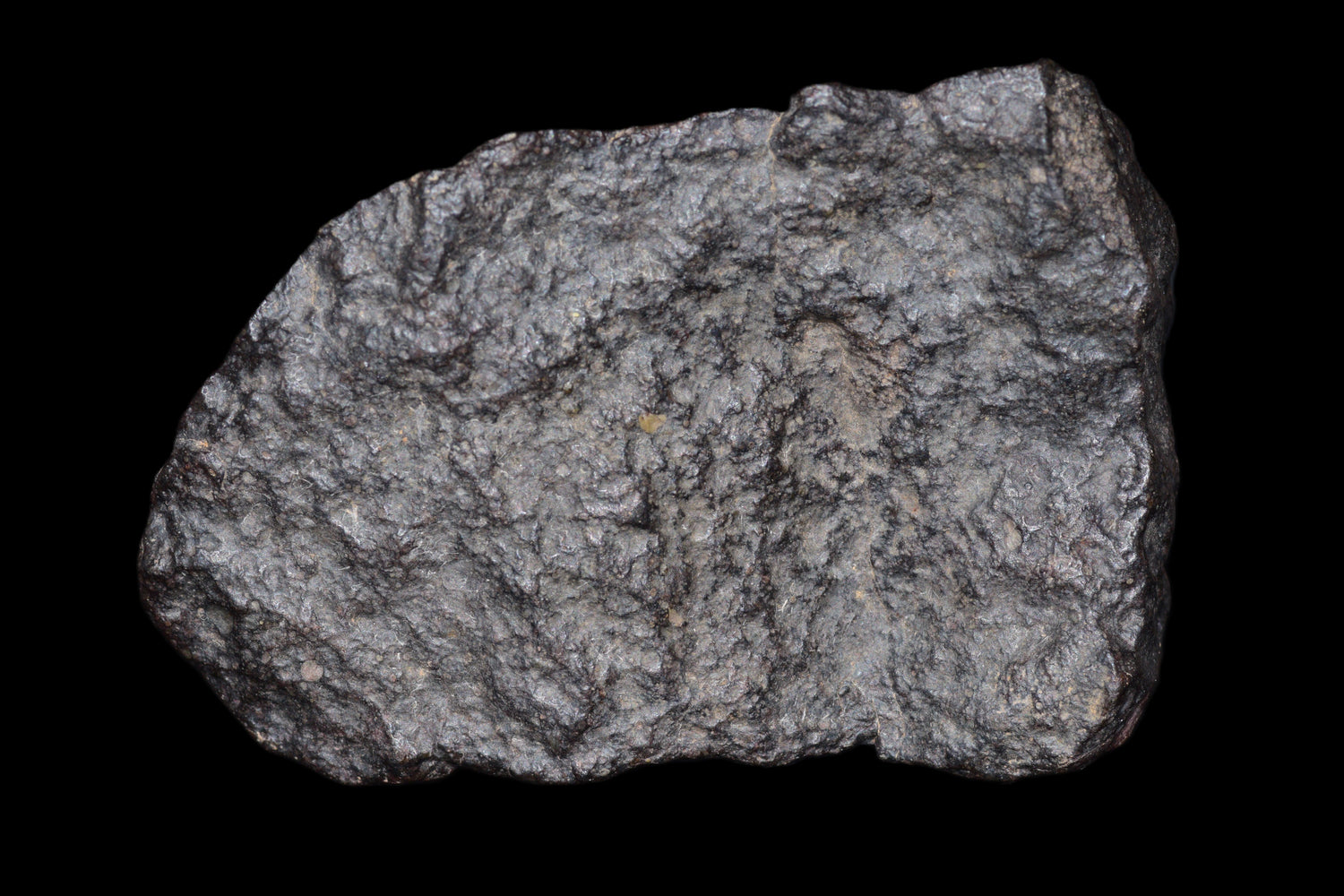 NWA 14003&nbsp; H4 Ordinary Chondrite Meteorite