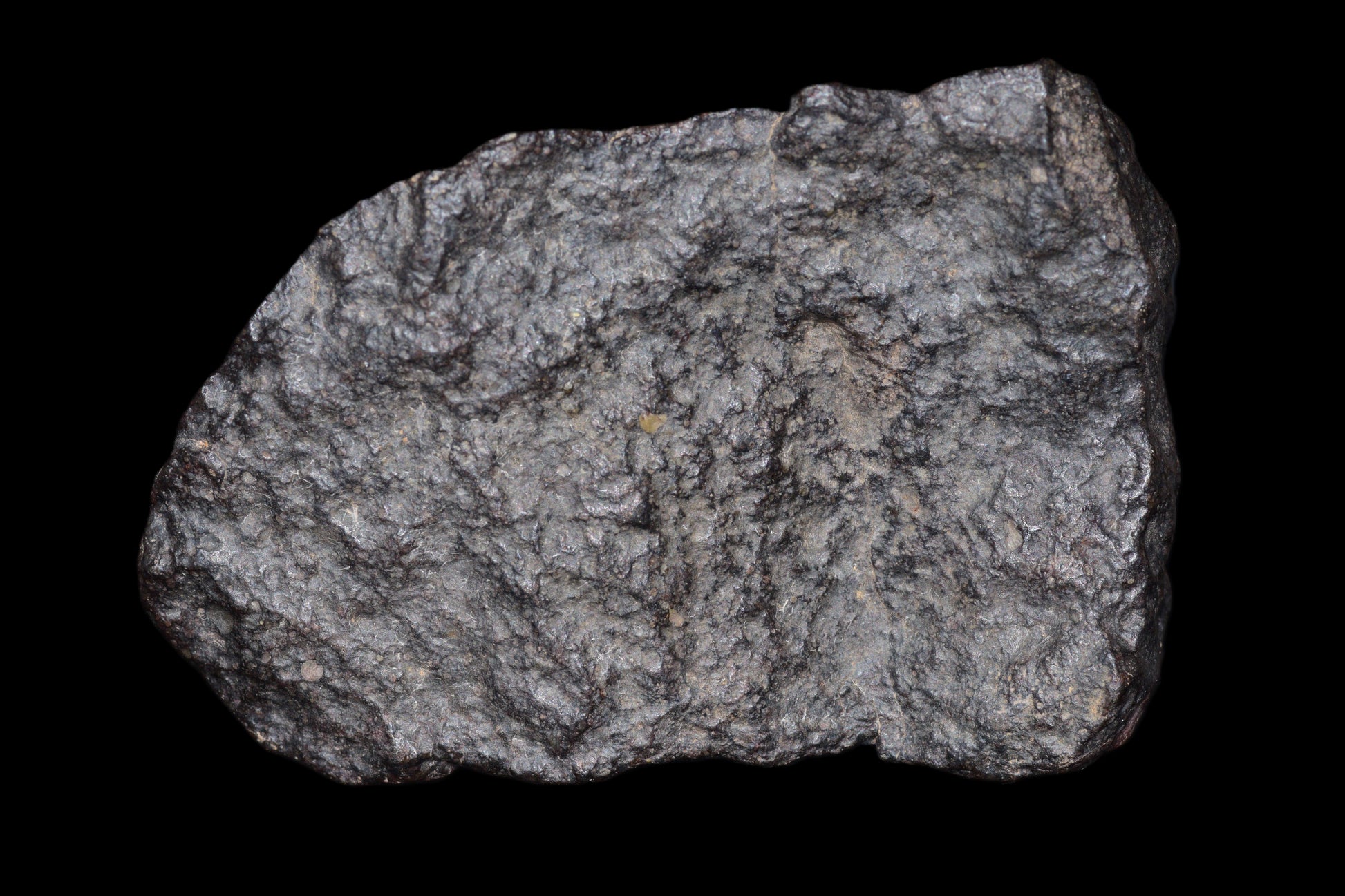NWA 14003 H4 ordinary chondrite meteorite weighing 108.2 grams, shown with its textured, dark exterior and mineral details.